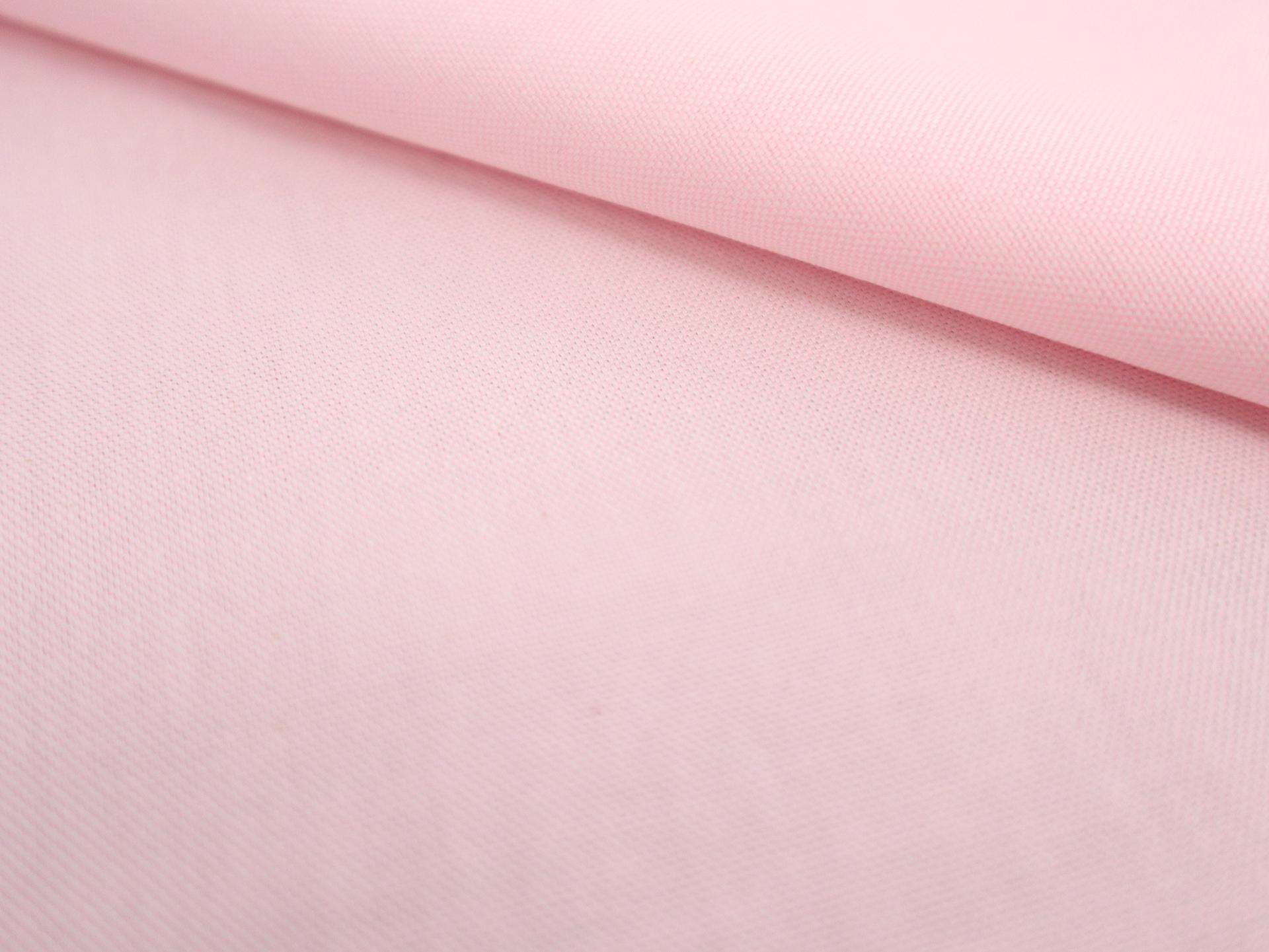 Pima Cotton Oxford in Carnation Pink