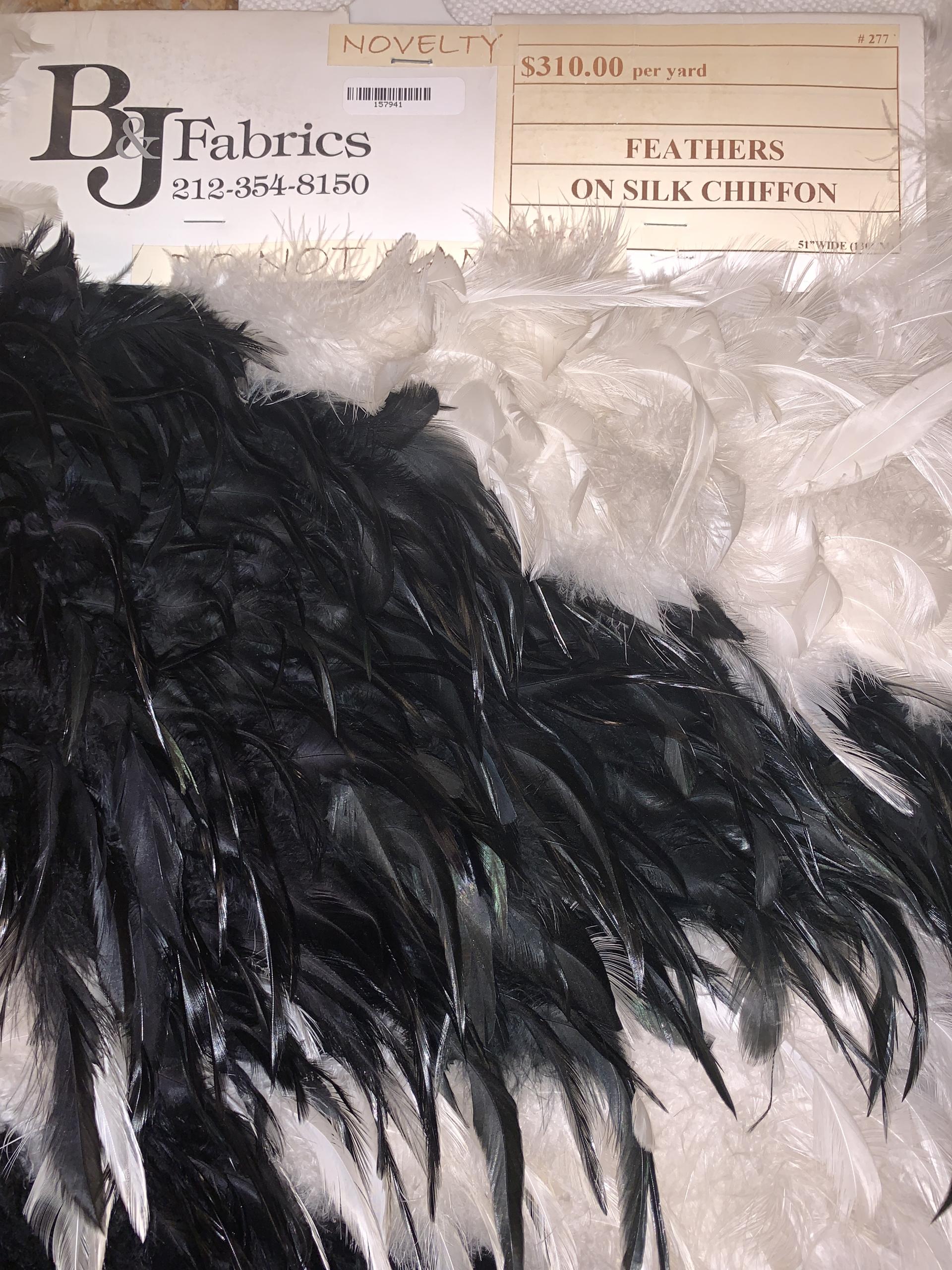 Feathers on Silk Chiffon