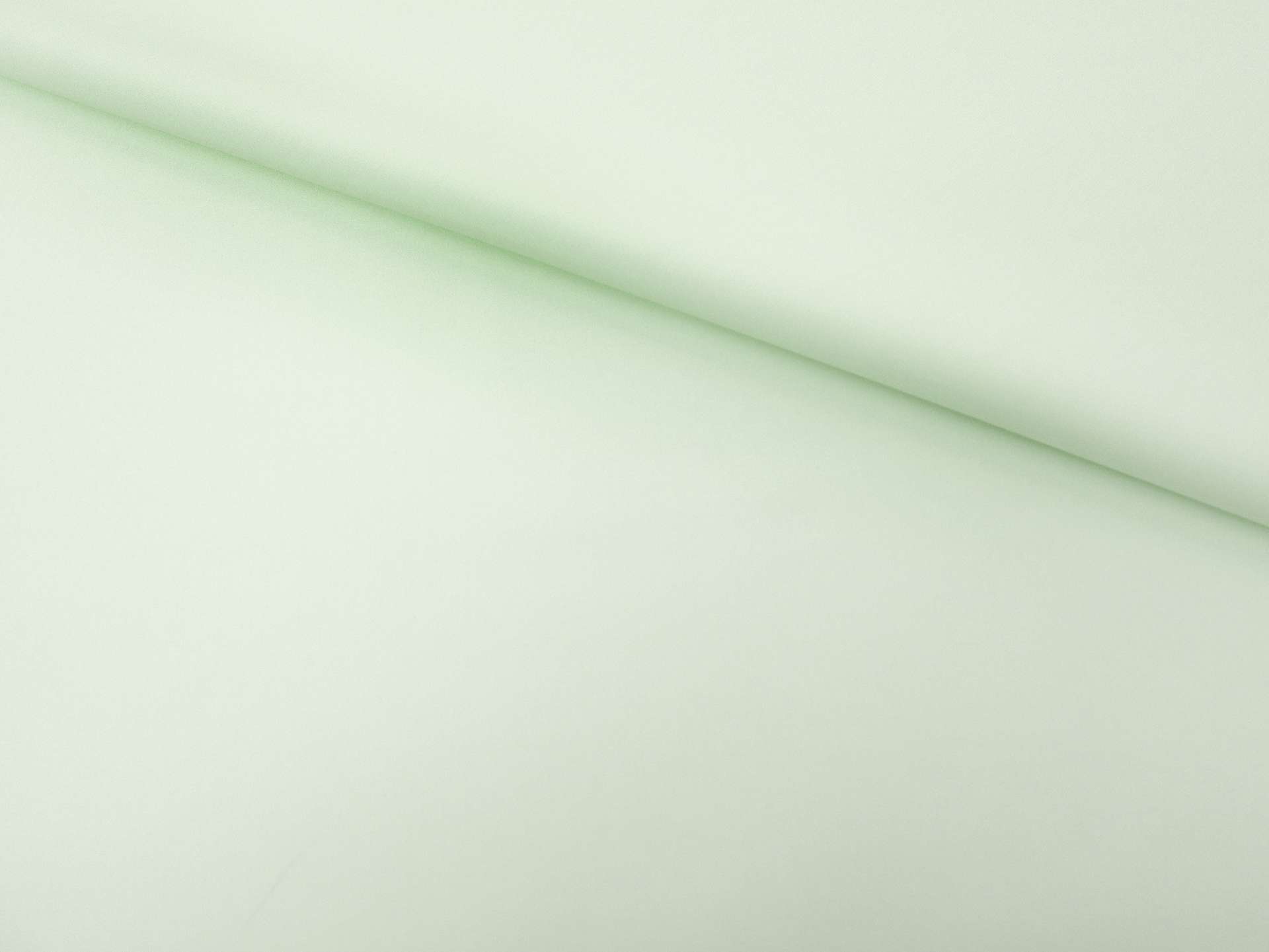 Pima Cotton Broadcloth in Mist