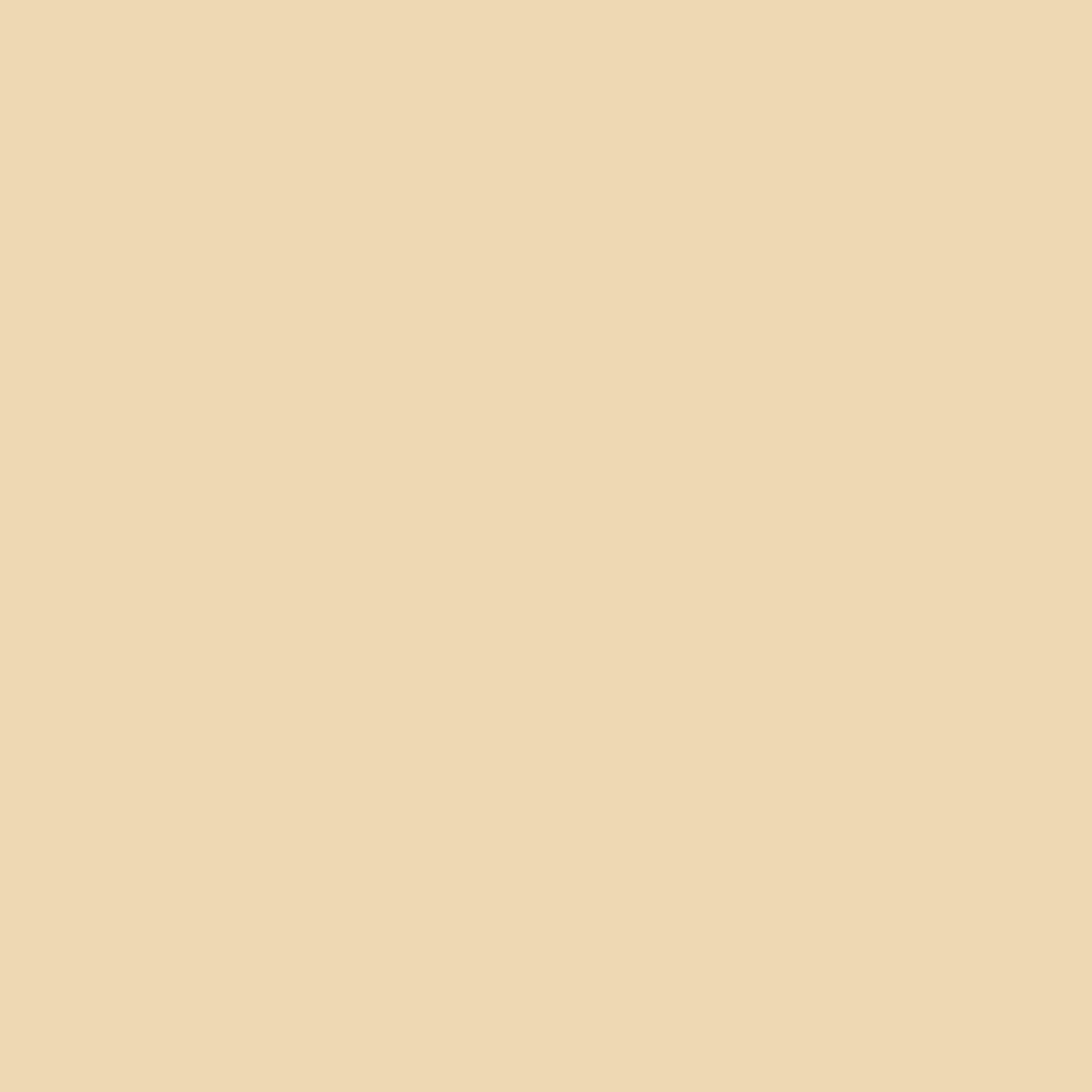 Silk Satin Organza in Sand