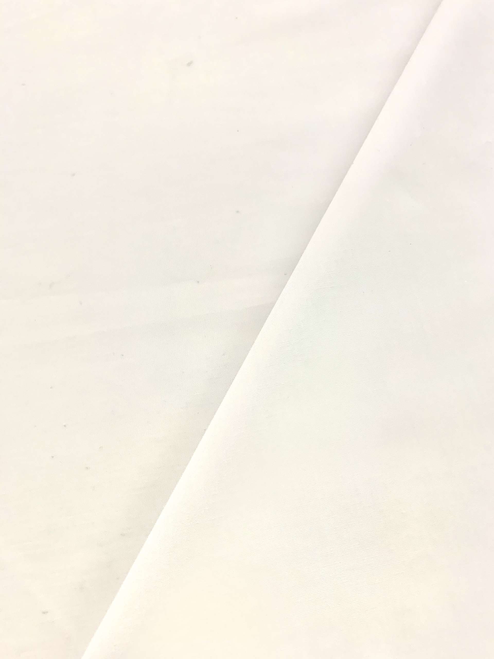 Pima Cotton Broadcloth in White