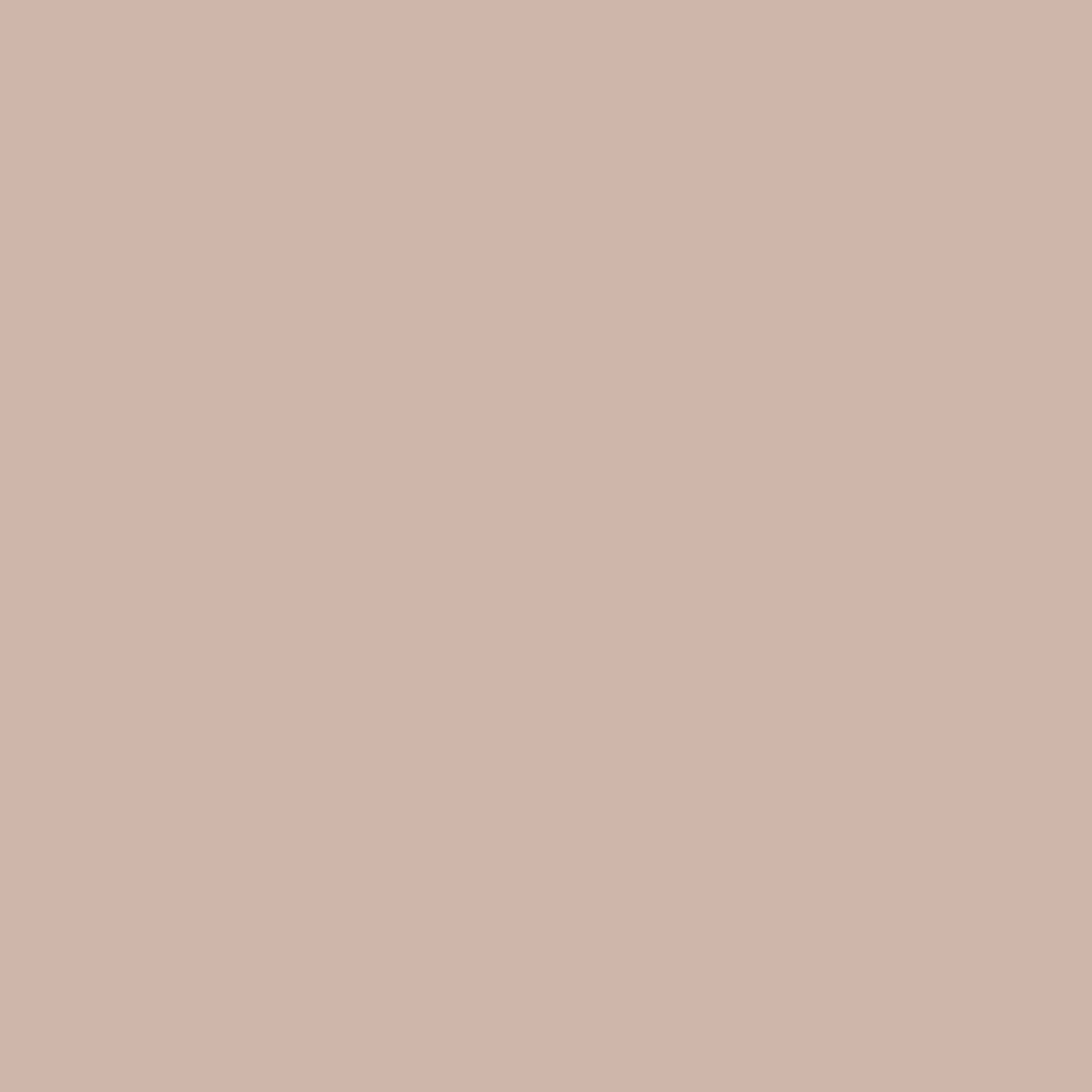 Silk Chiffon in Khaki