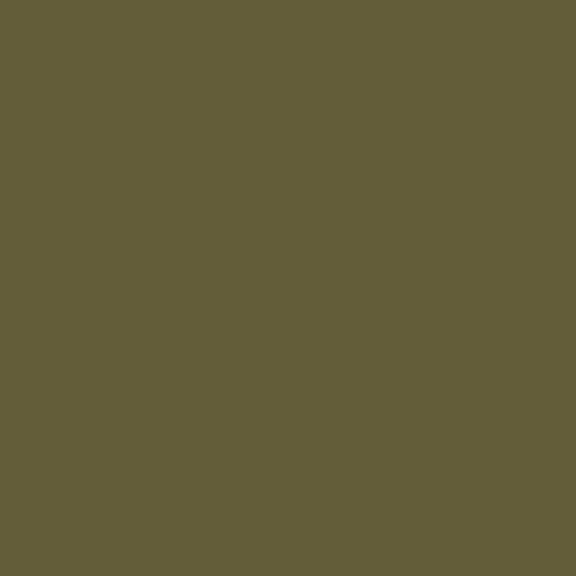 Silk Charmeuse In Army (19 momme)