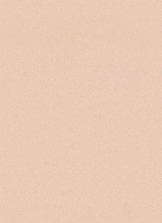 Japanese Rayon Bemberg Lining in Nude