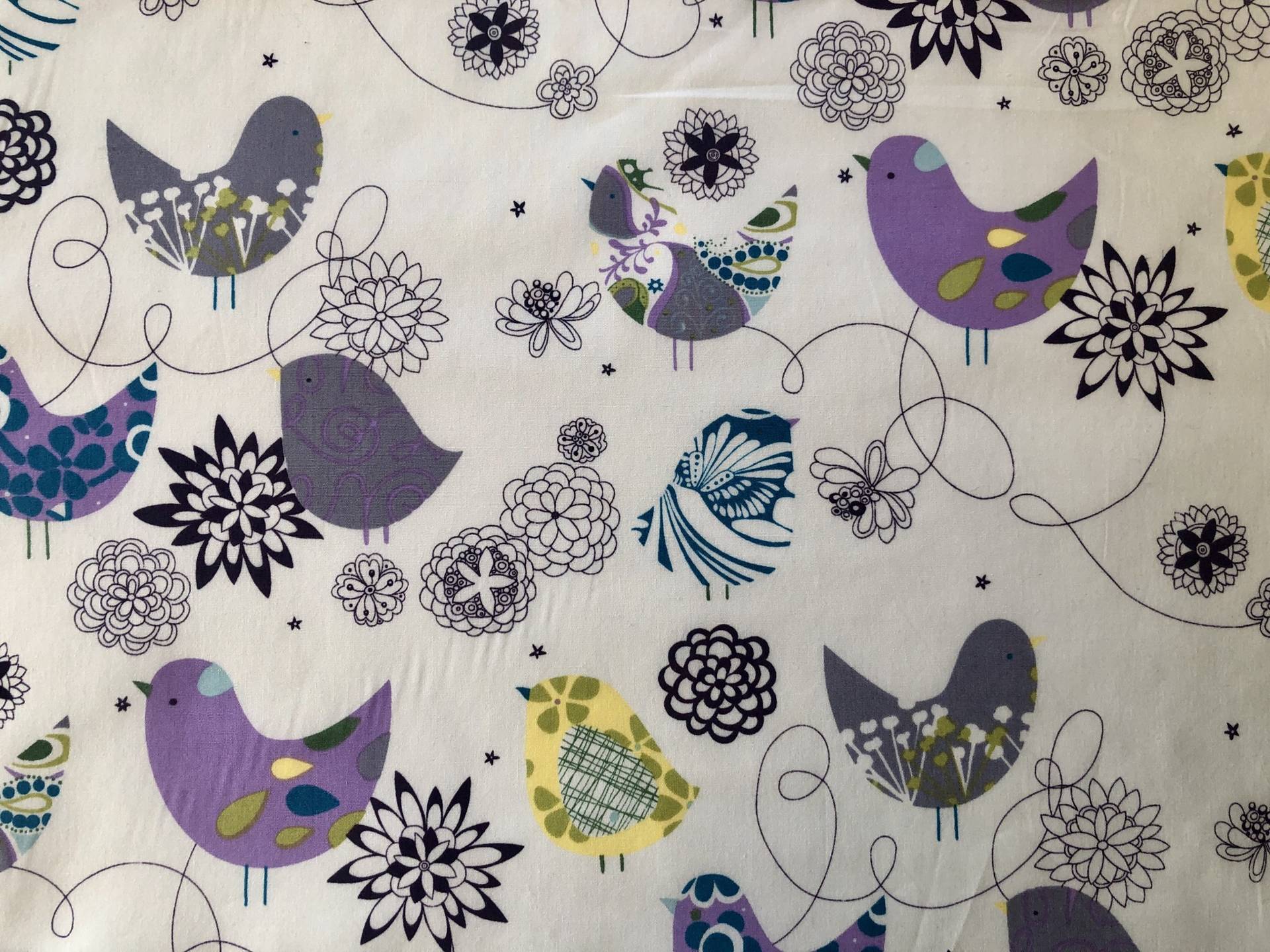 Bird1