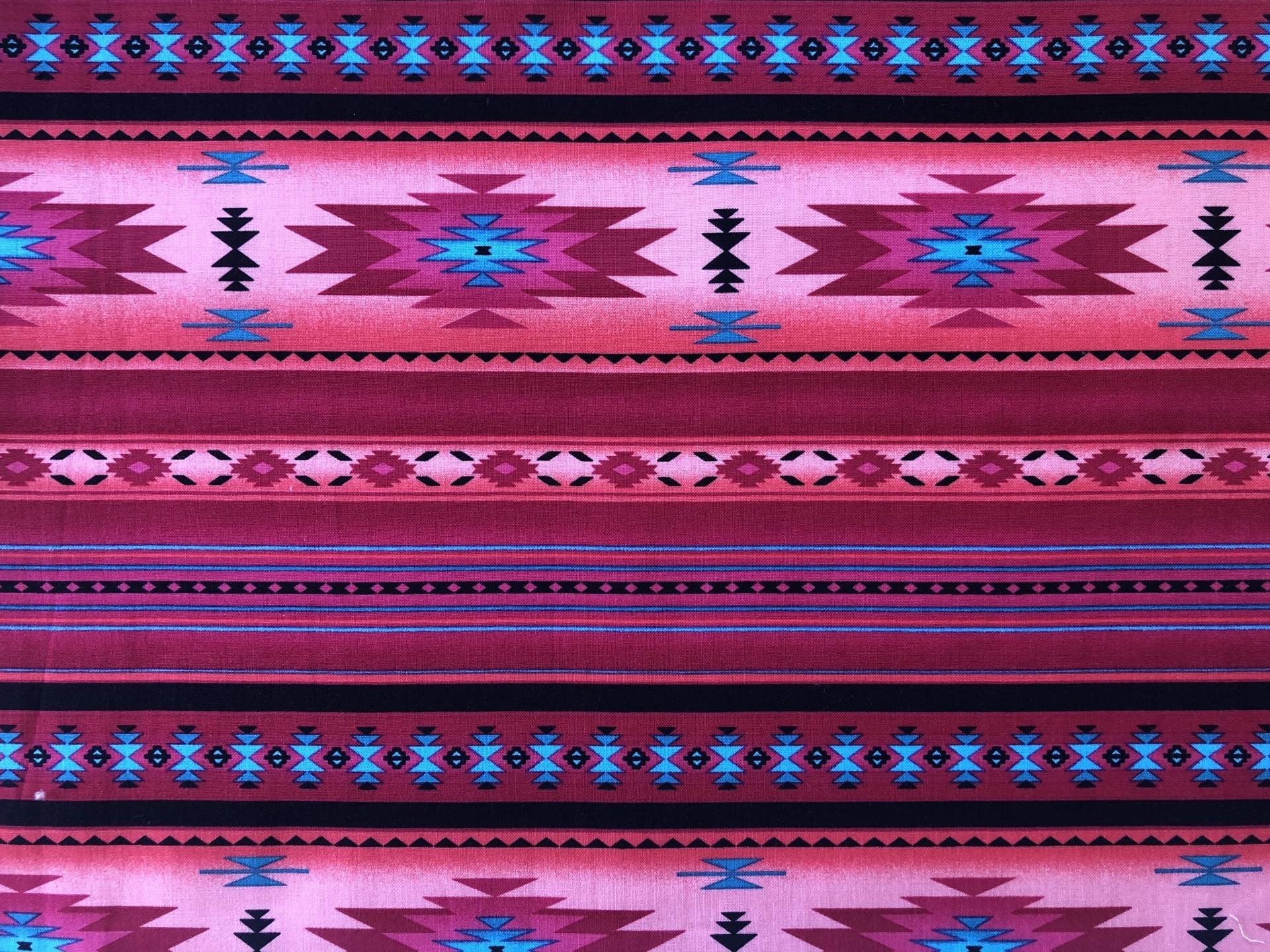 Navajo1