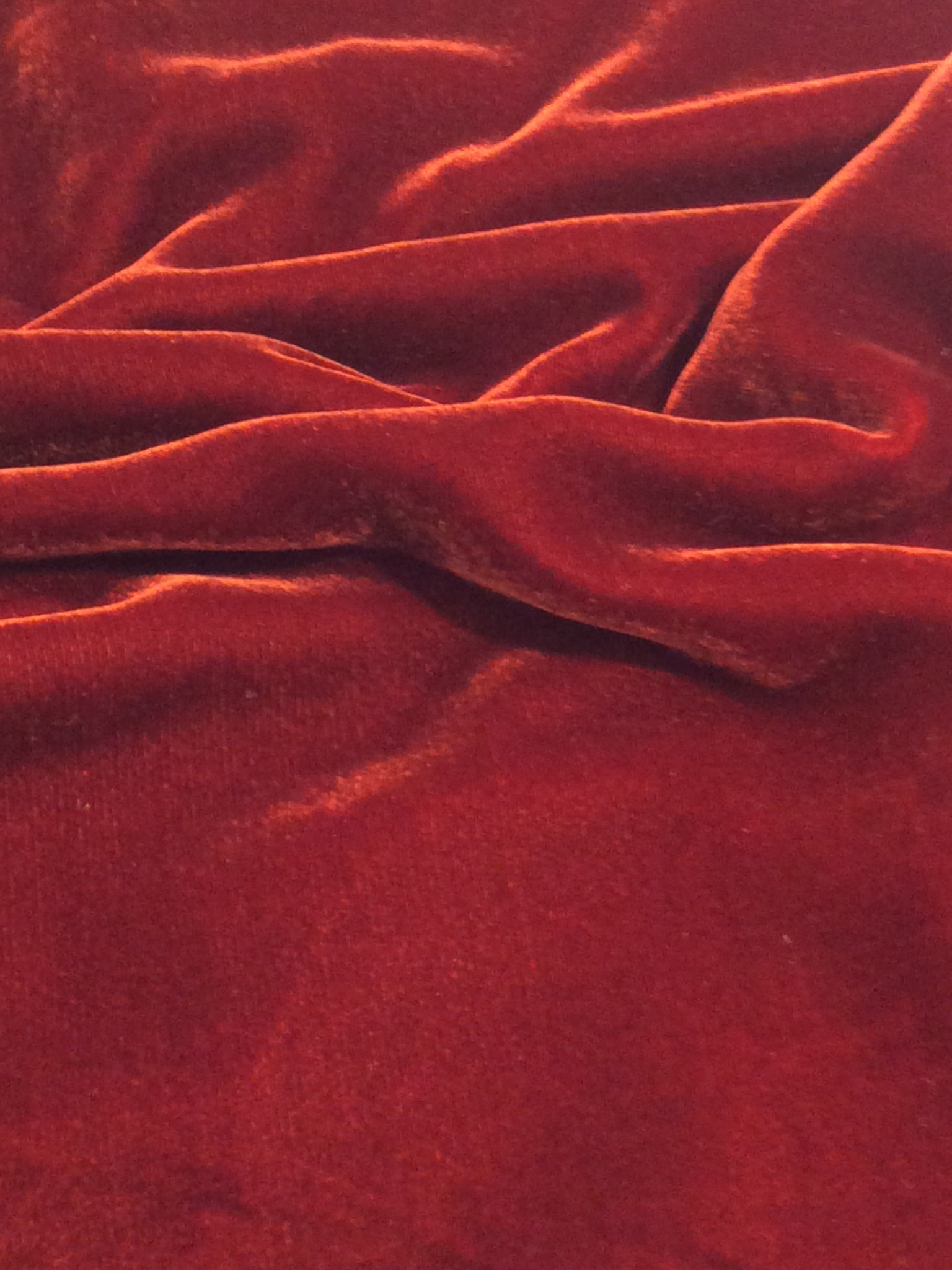 Silk Rayon Velvet in Rust
