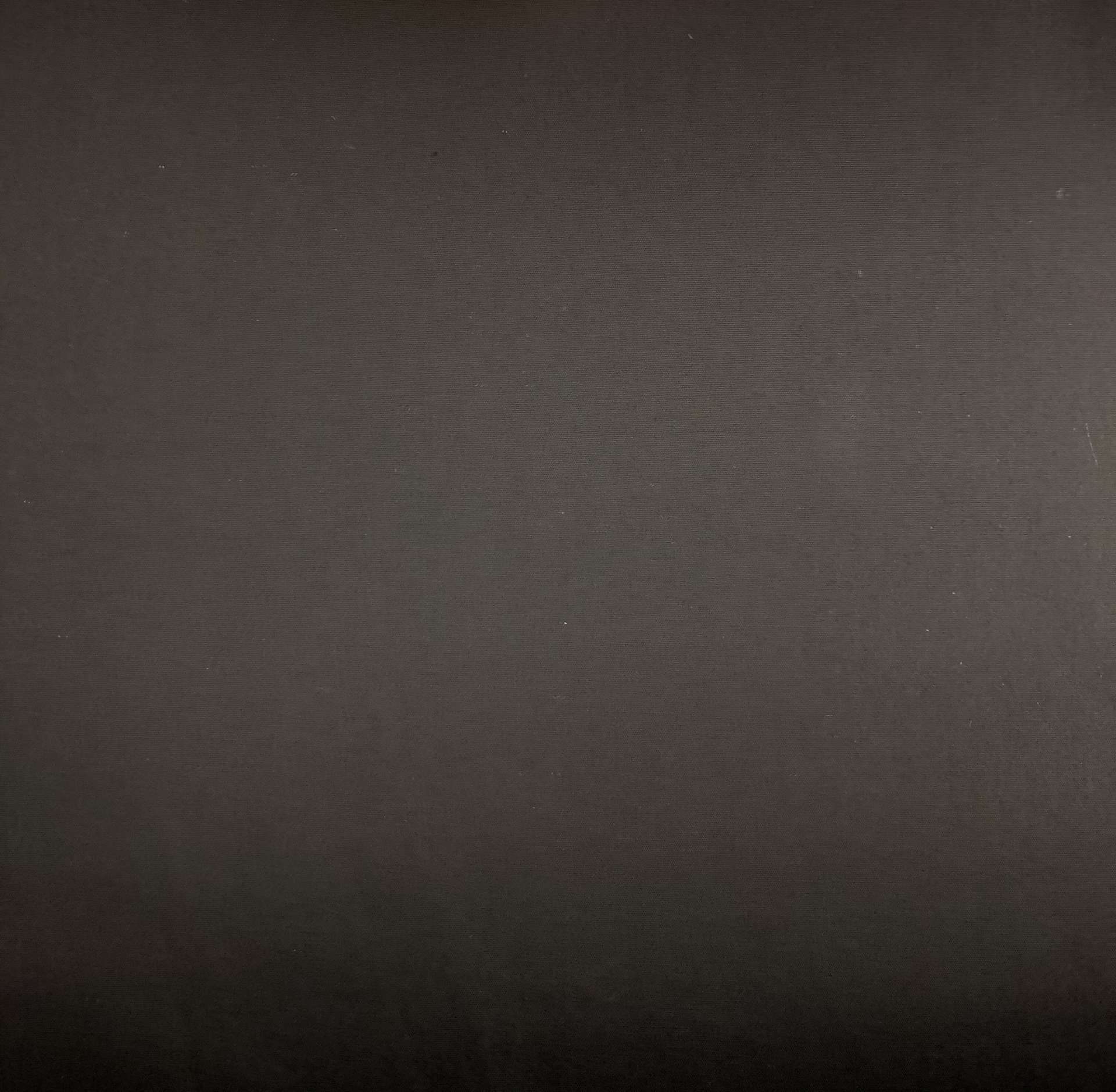 Pima Cotton Poplin in Black