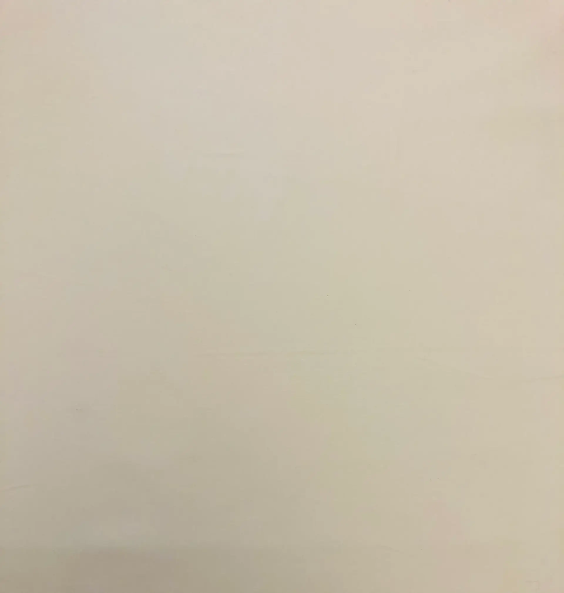 Ecru1