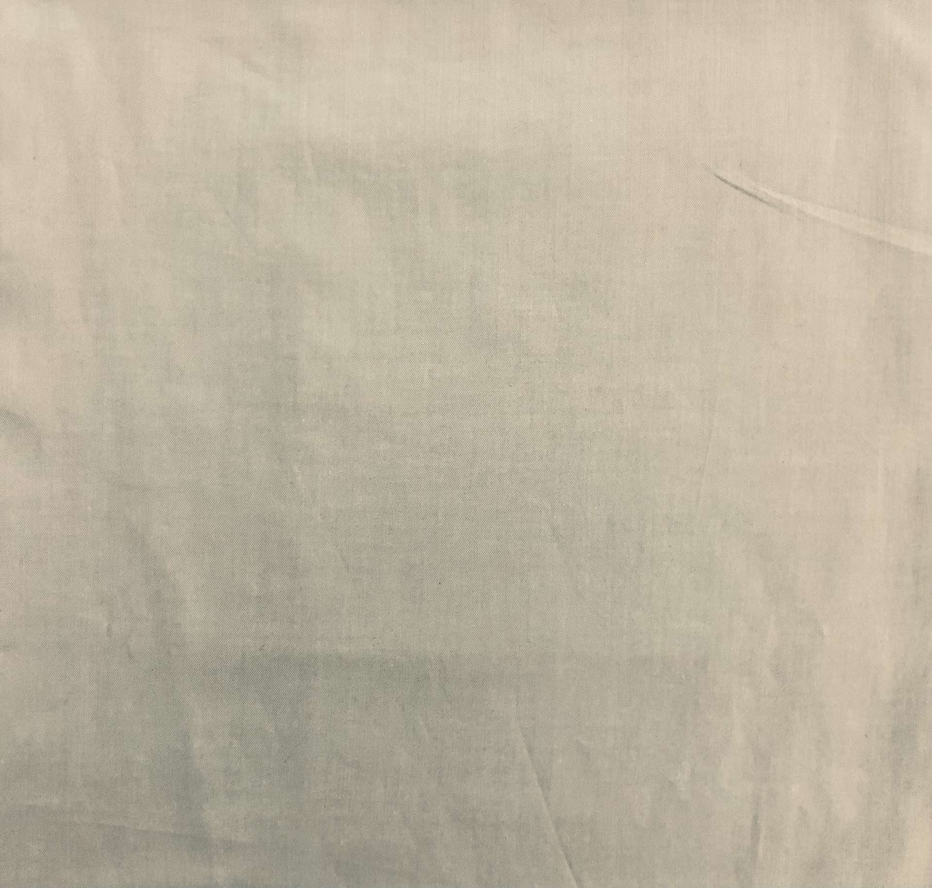 Cotton Fineline Twill Shirting in Sand