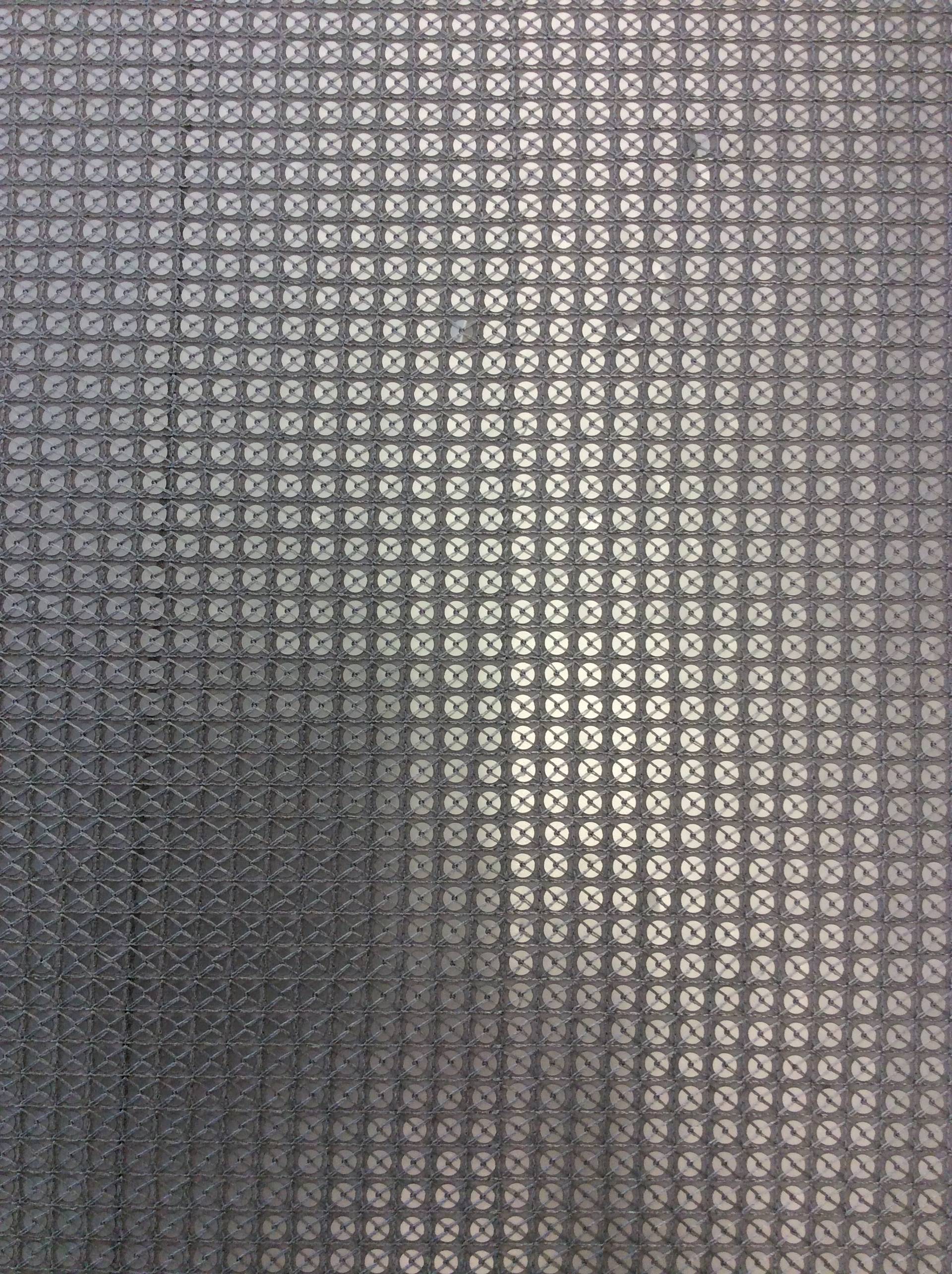Matte Sequins on Polyester Chiffon in Silver