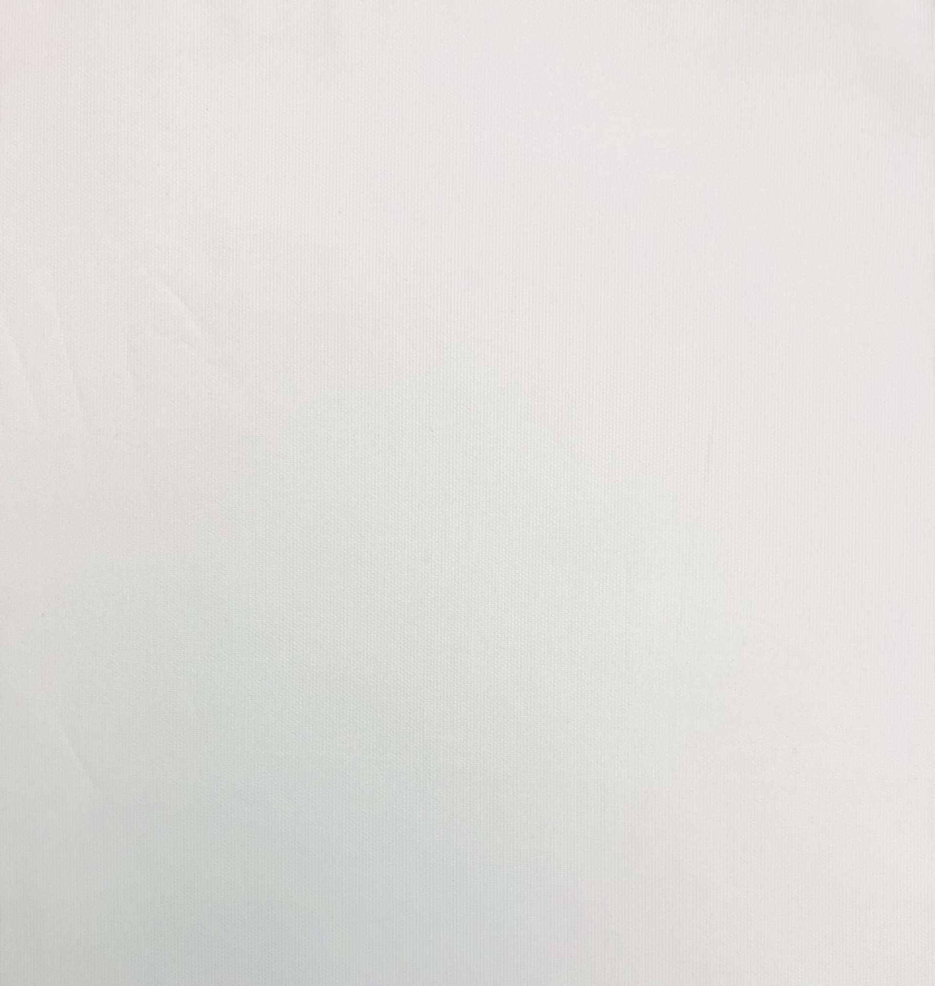 Cotton Pima Wale Pique in White