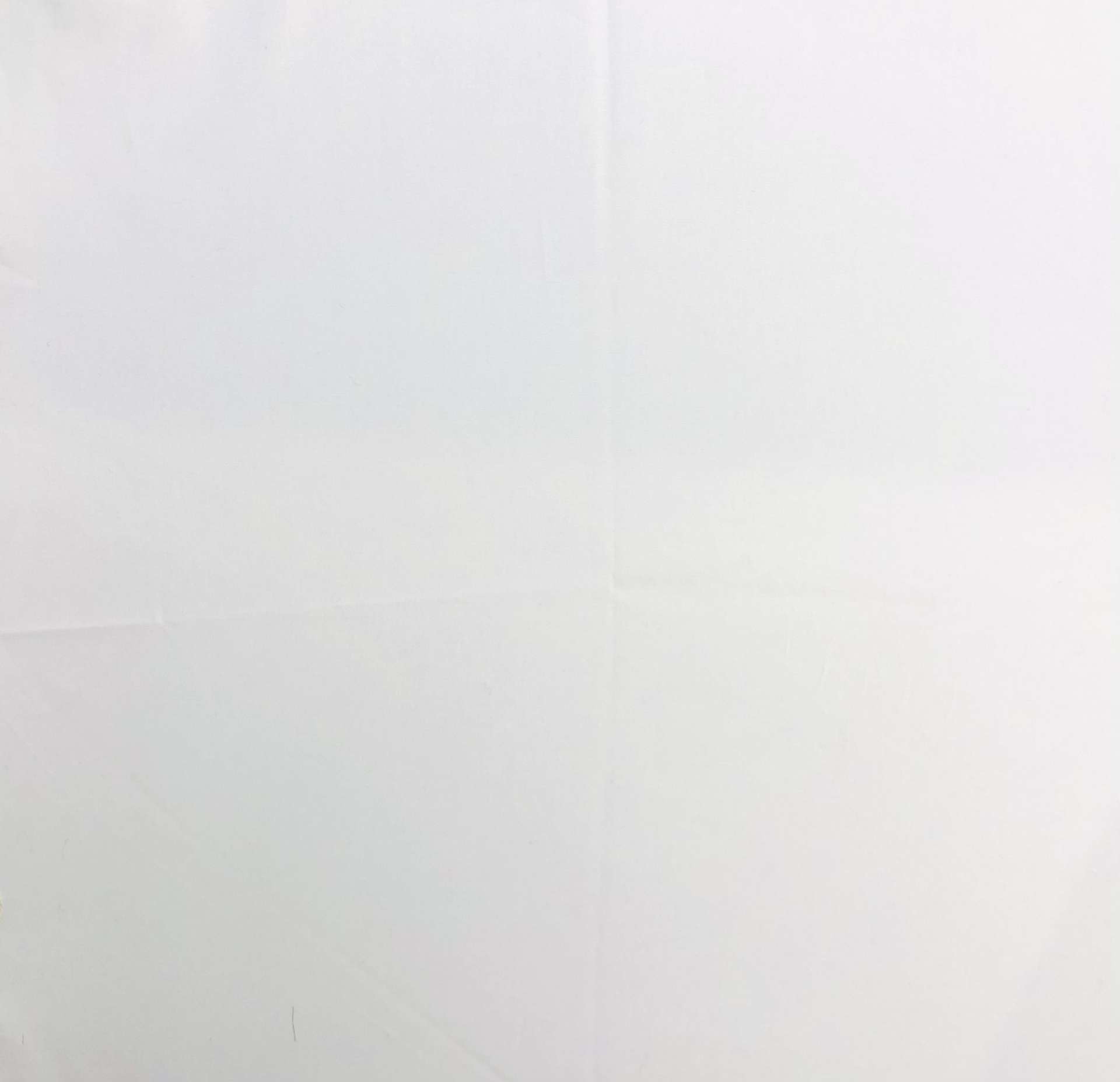 Stretch Cotton Broadcloth in White