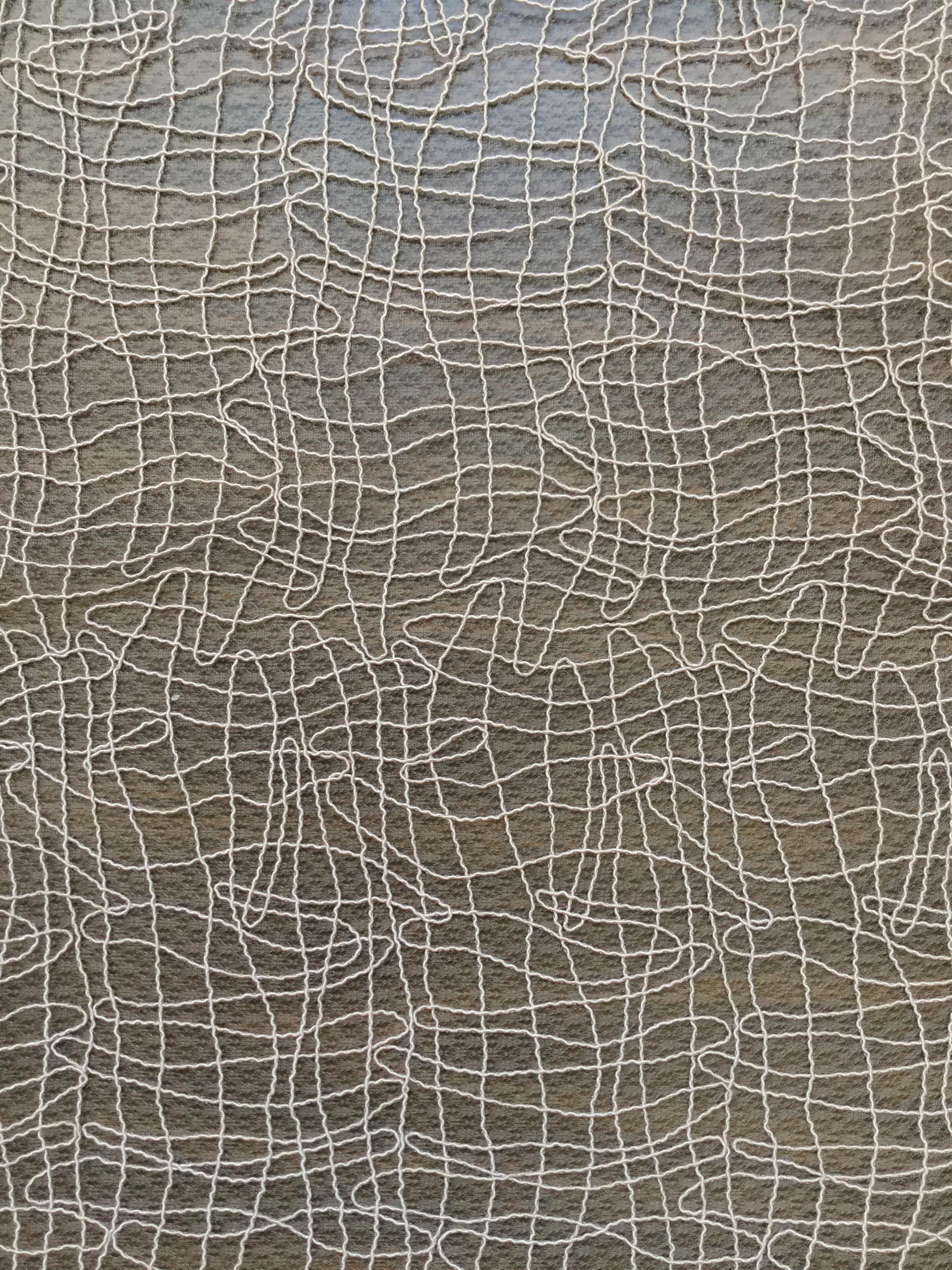 Embroidered Souffle Net in Flesh