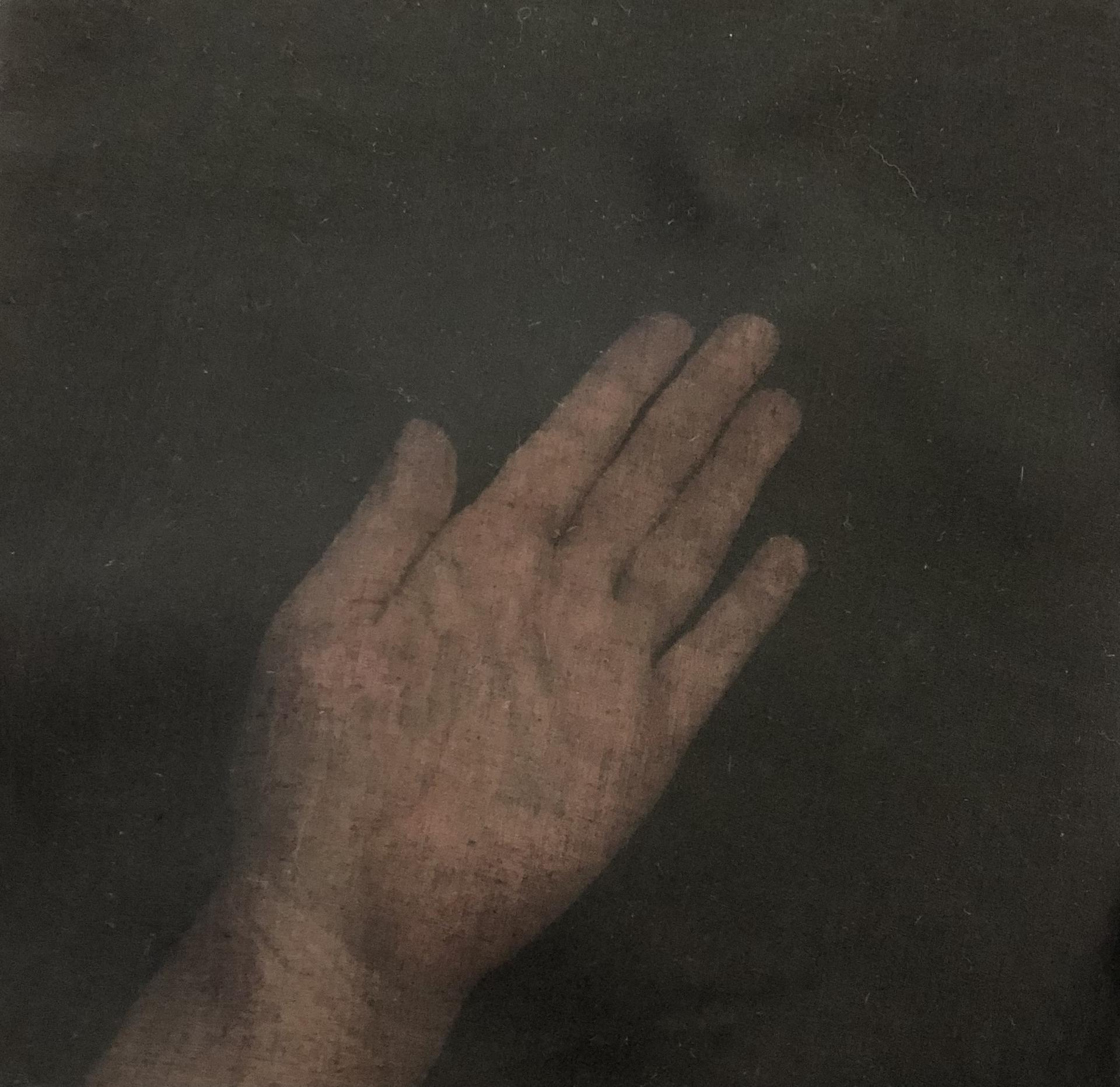 Swiss Cotton Voile in Off Black