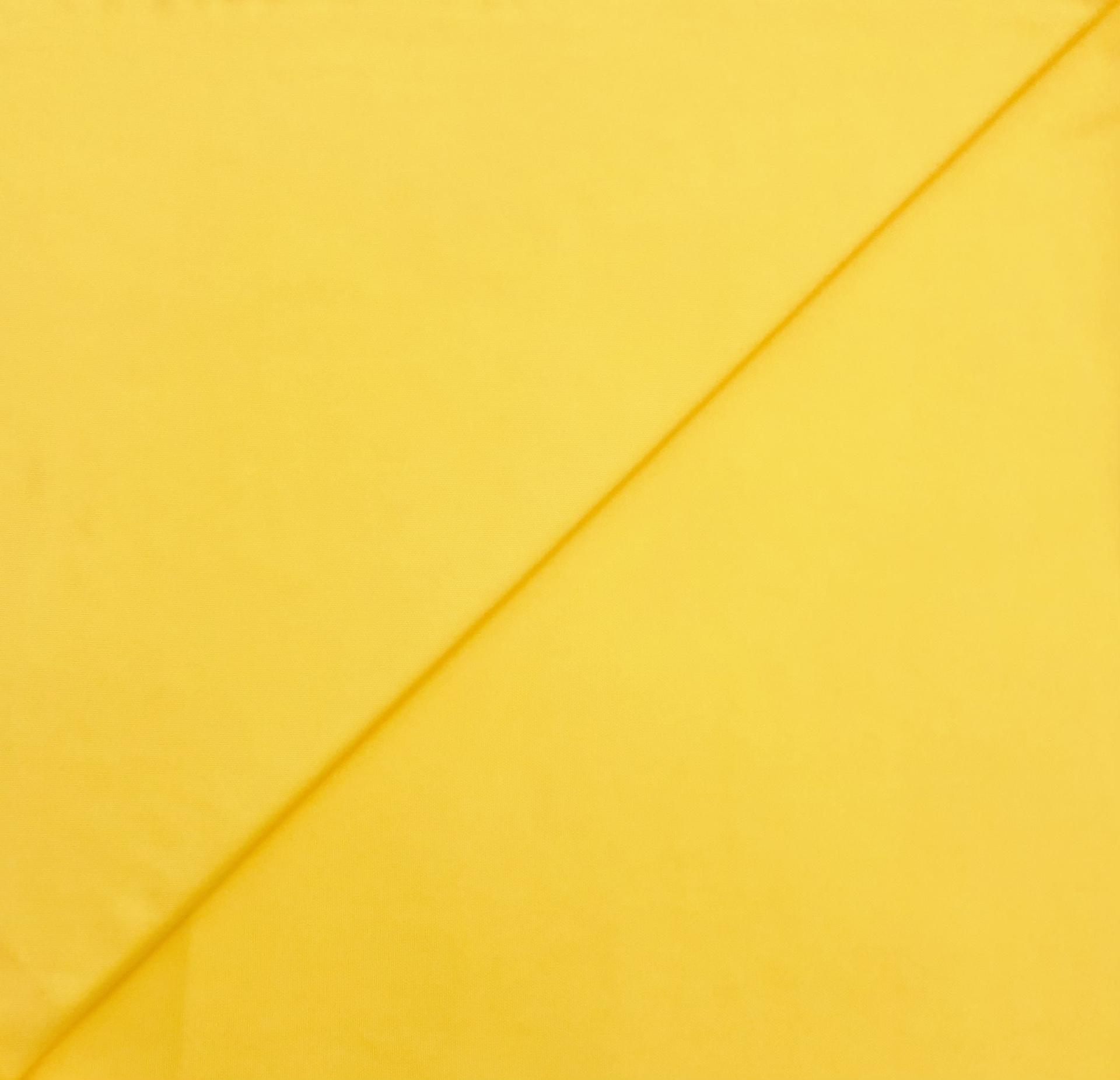 Rayon Matte Jersey in Canary Yellow