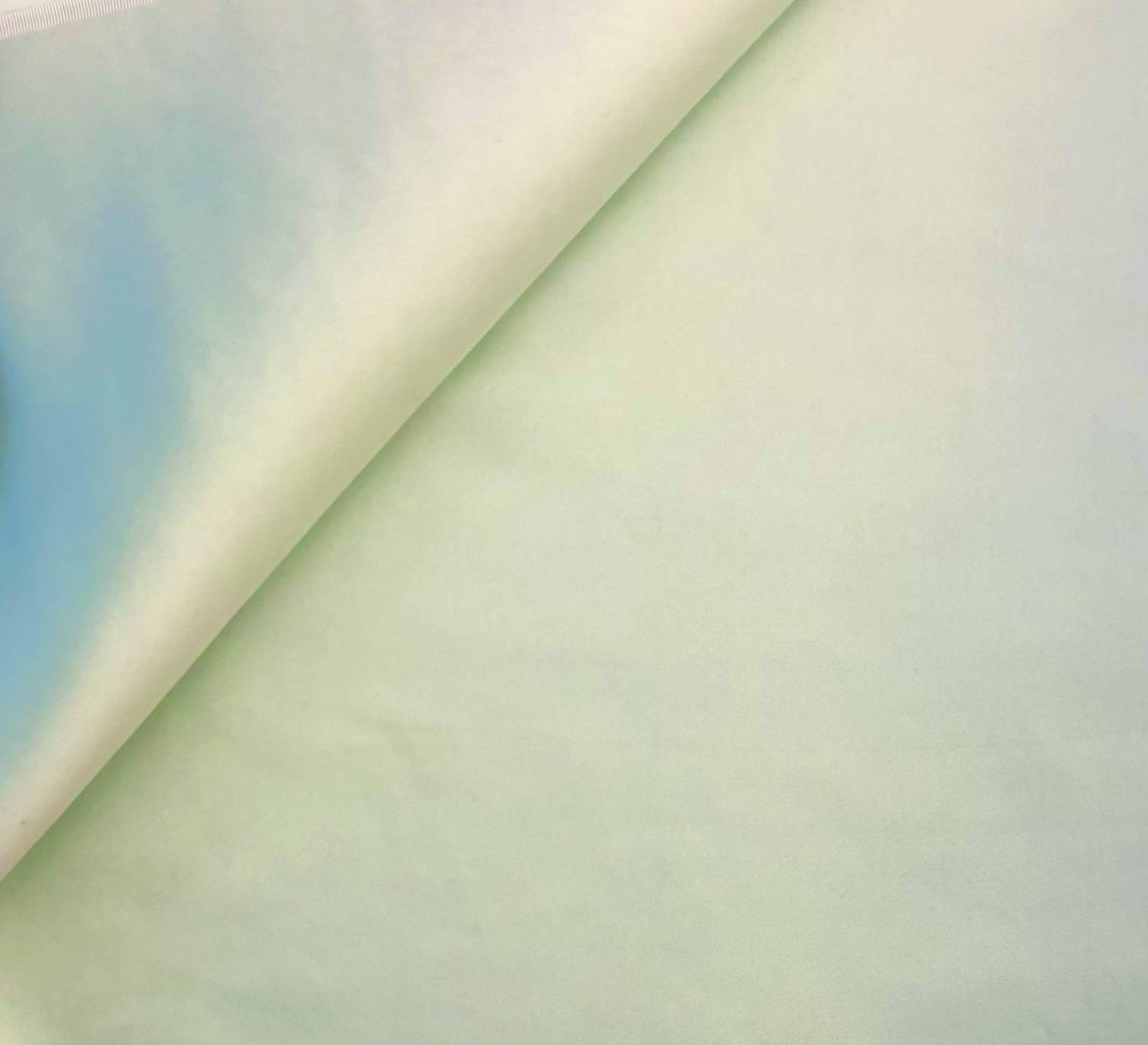 Italian Washed Silk Double Face Satin In Mint