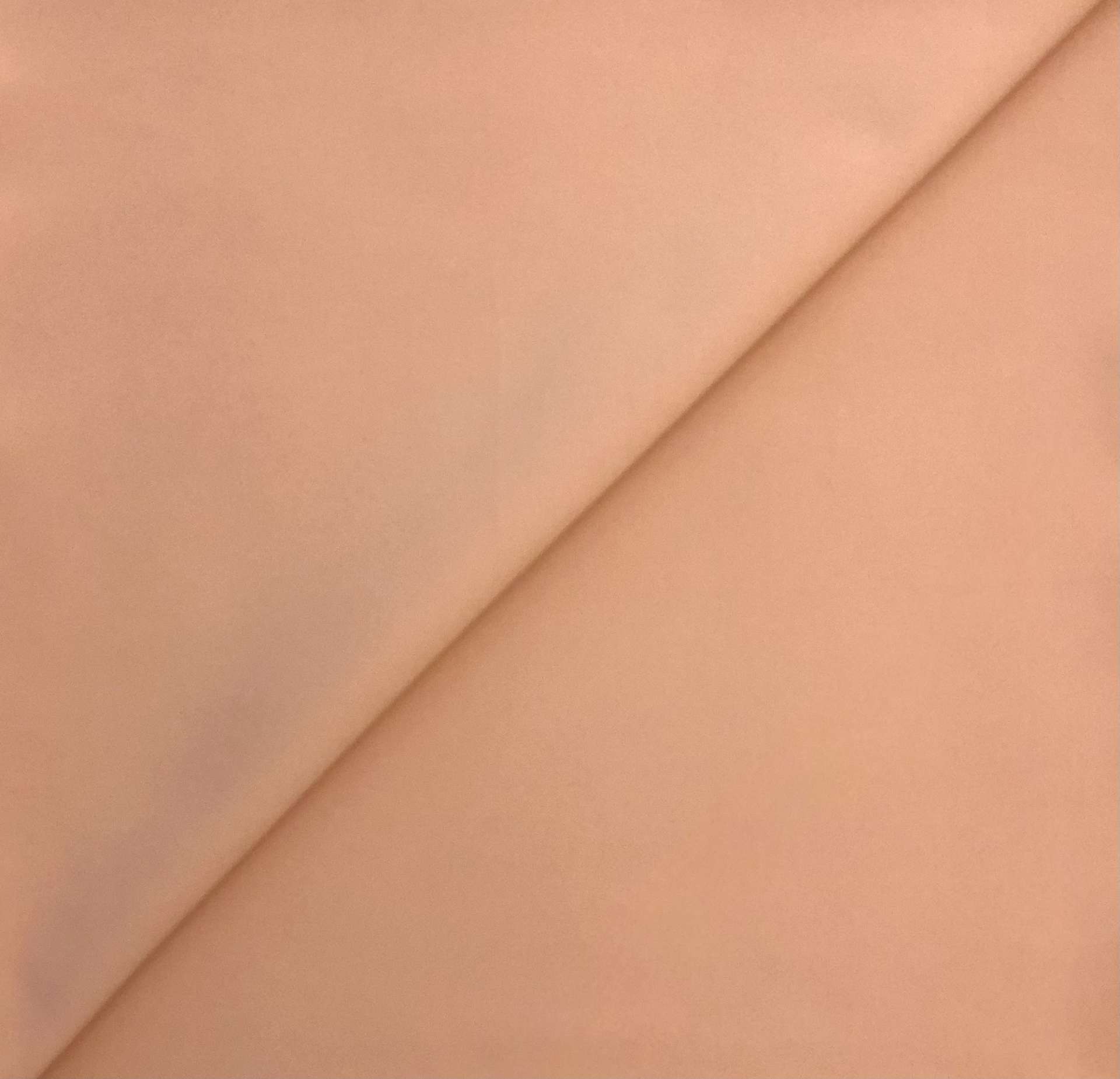 Cotton Nylon Spandex Suiting in Skin