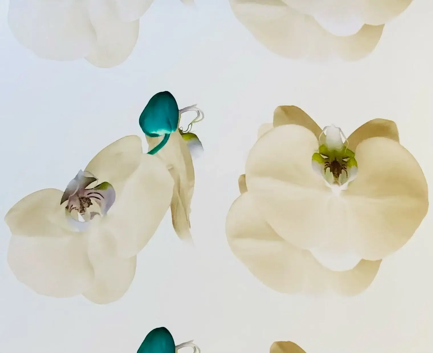 Pure Silk Gazar Giant Floral Print
