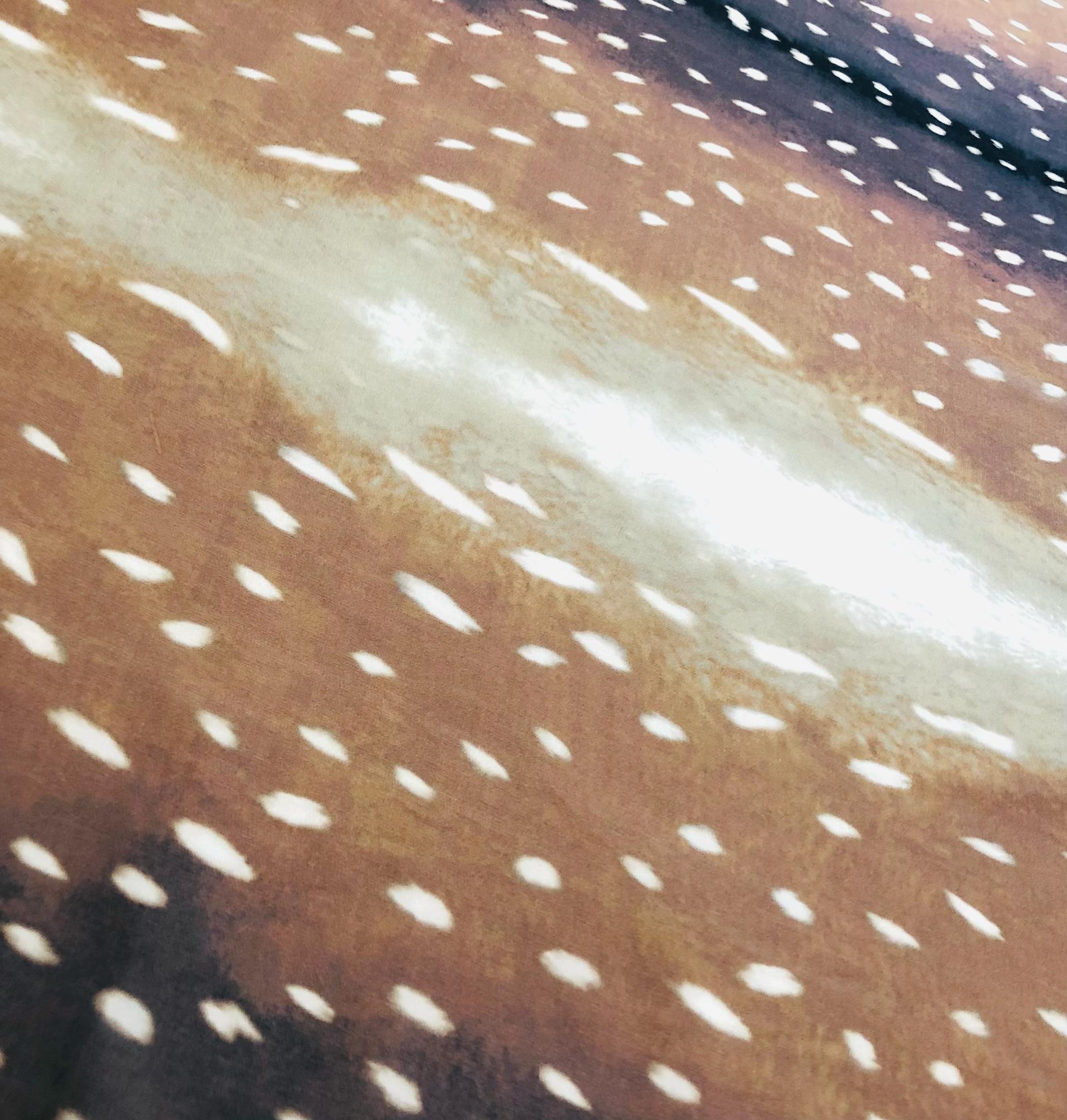 Printed Silk Chiffon