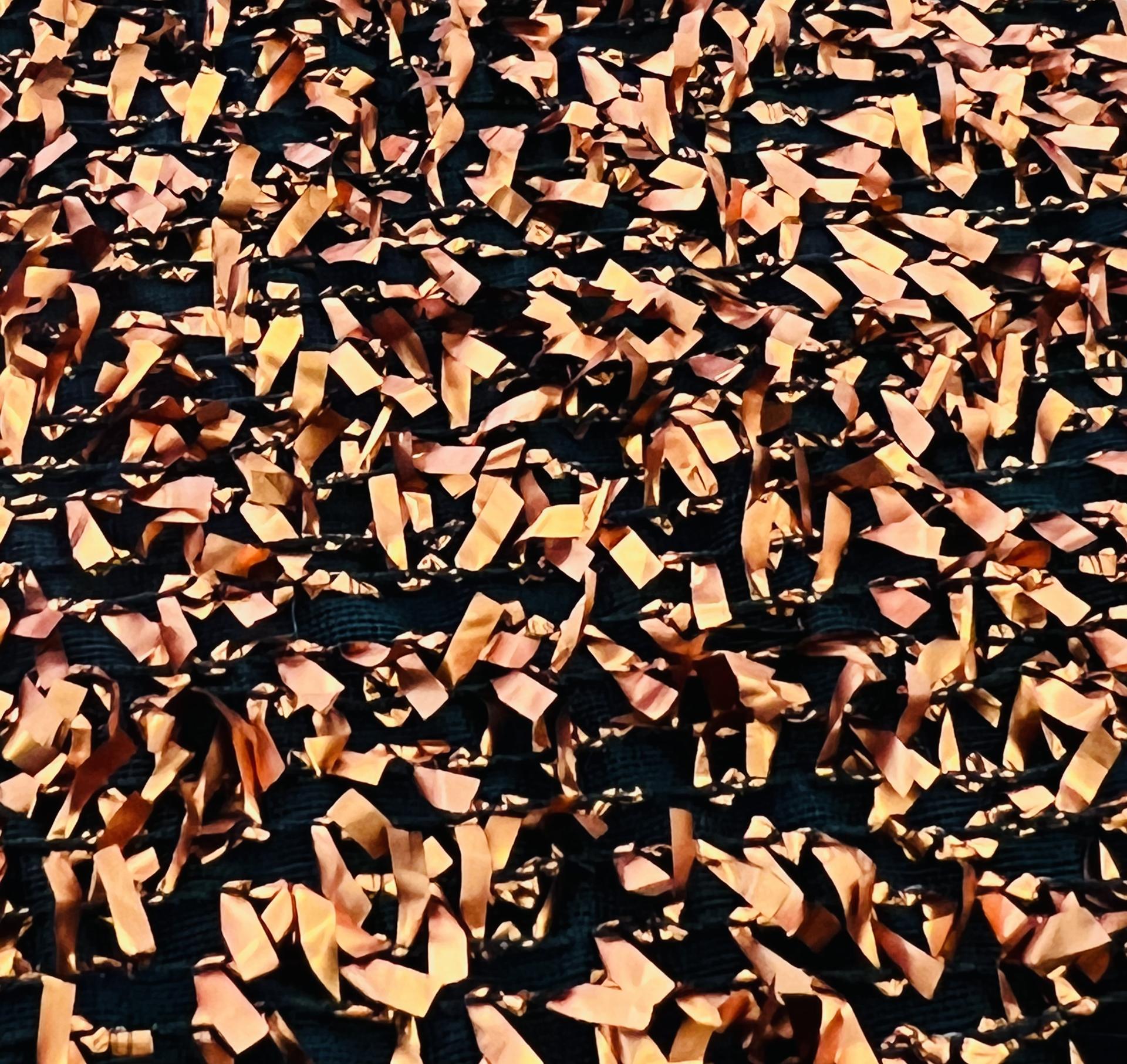 Organza with Lame Raffia