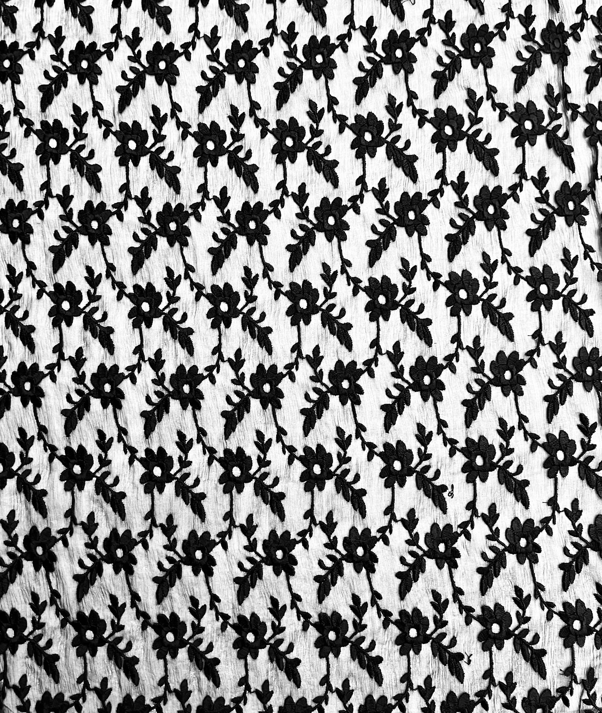 Embroidered Silk Chiffon