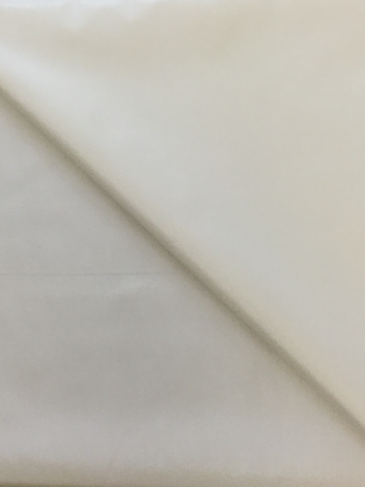 Polyester Taffeta in Diamond White