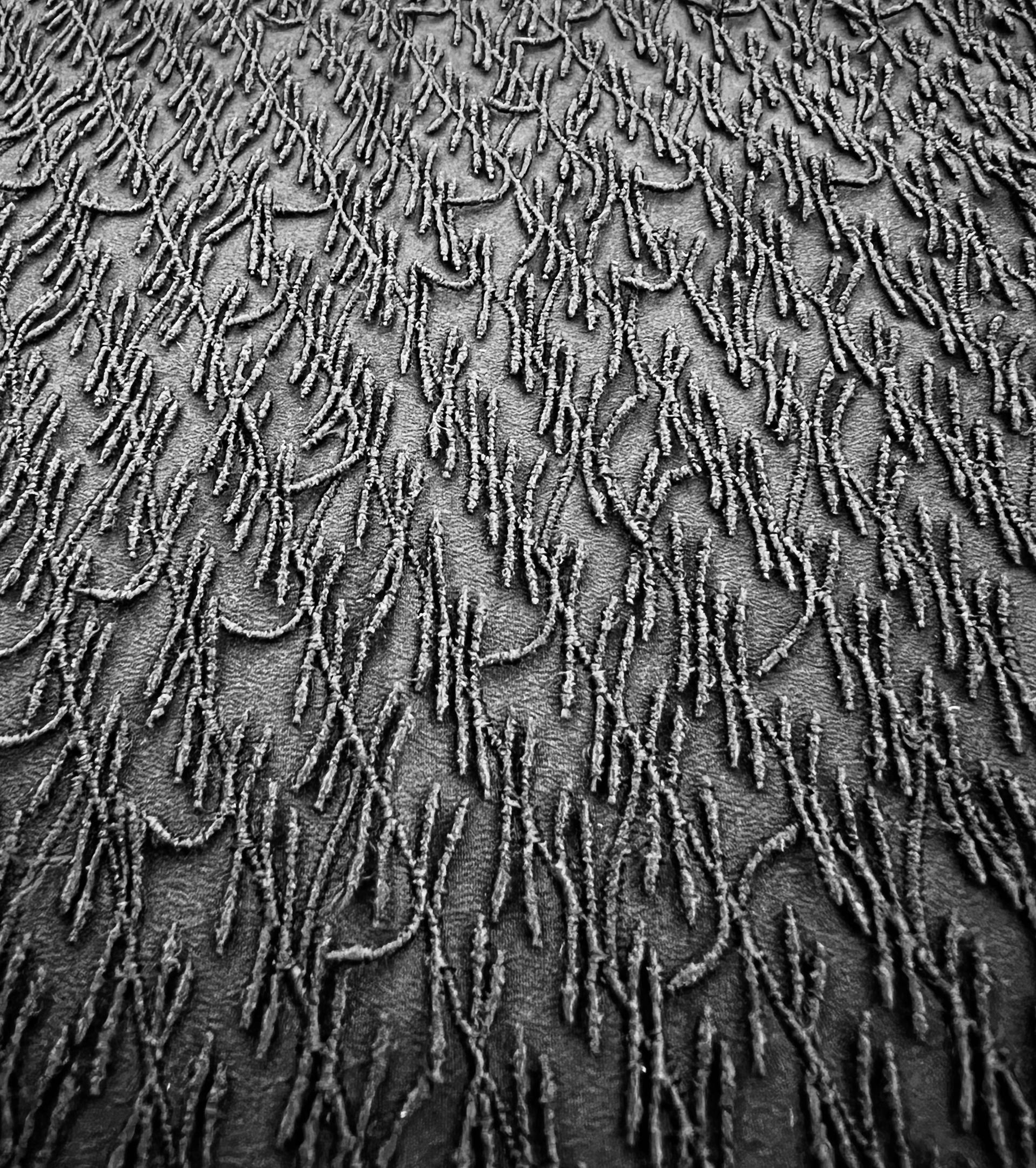 Embroidered Crepe de Chine In Black