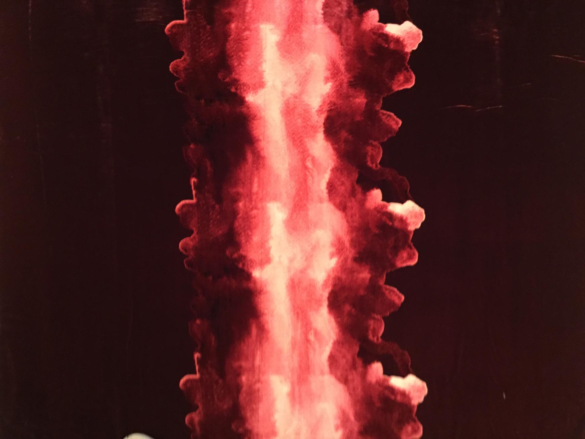 Silk and Rayon Velvet Panel