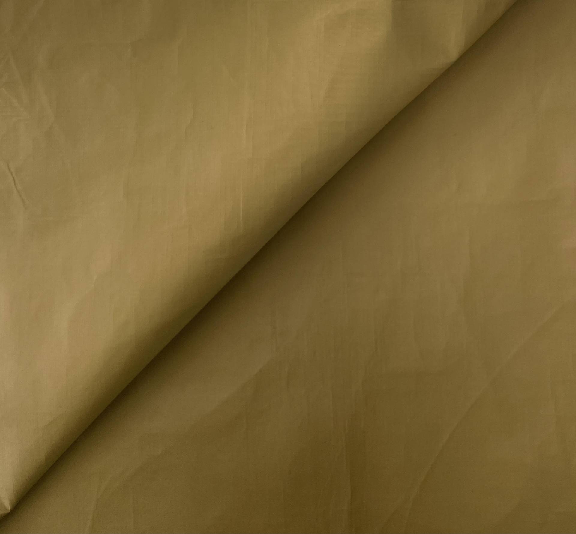 Tyvek in Camel