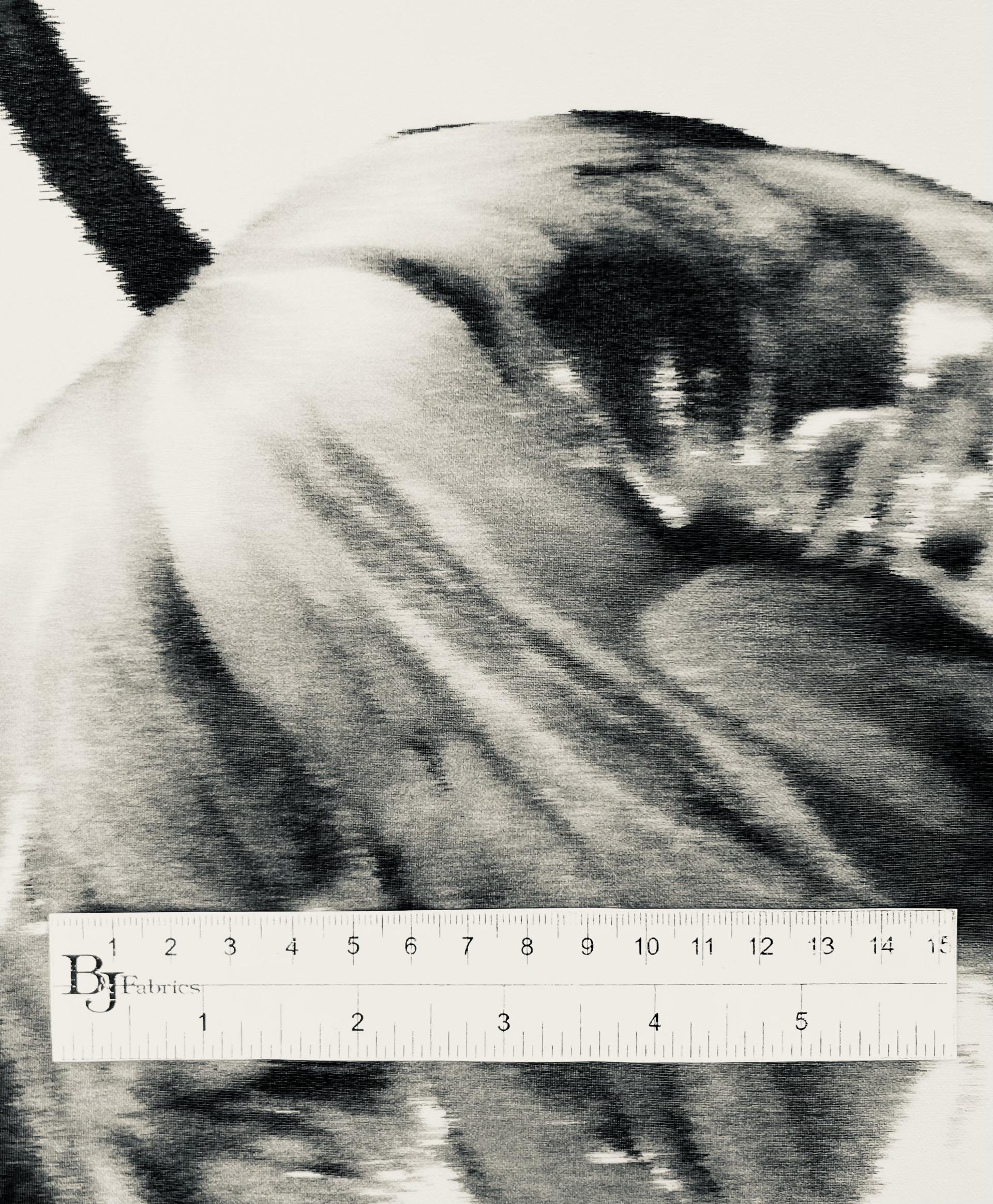 Made In Italy Printed Silk Chiffon