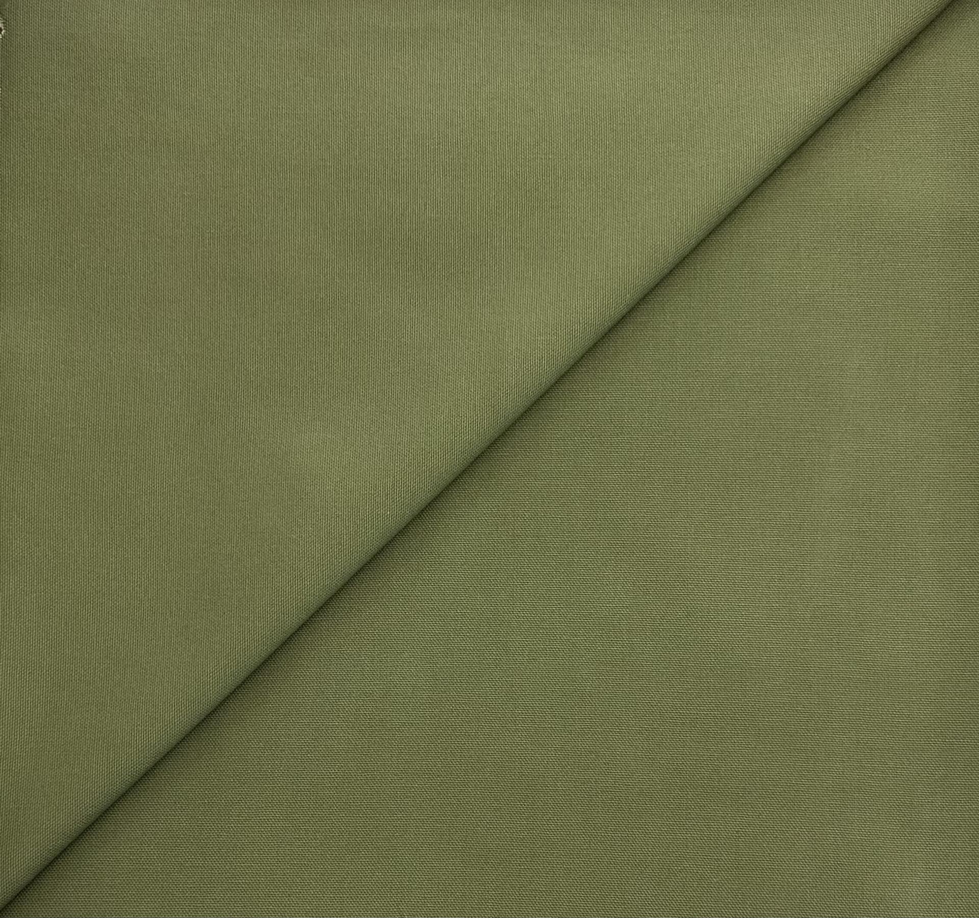 10 oz Organic Cotton Canvas in Fern