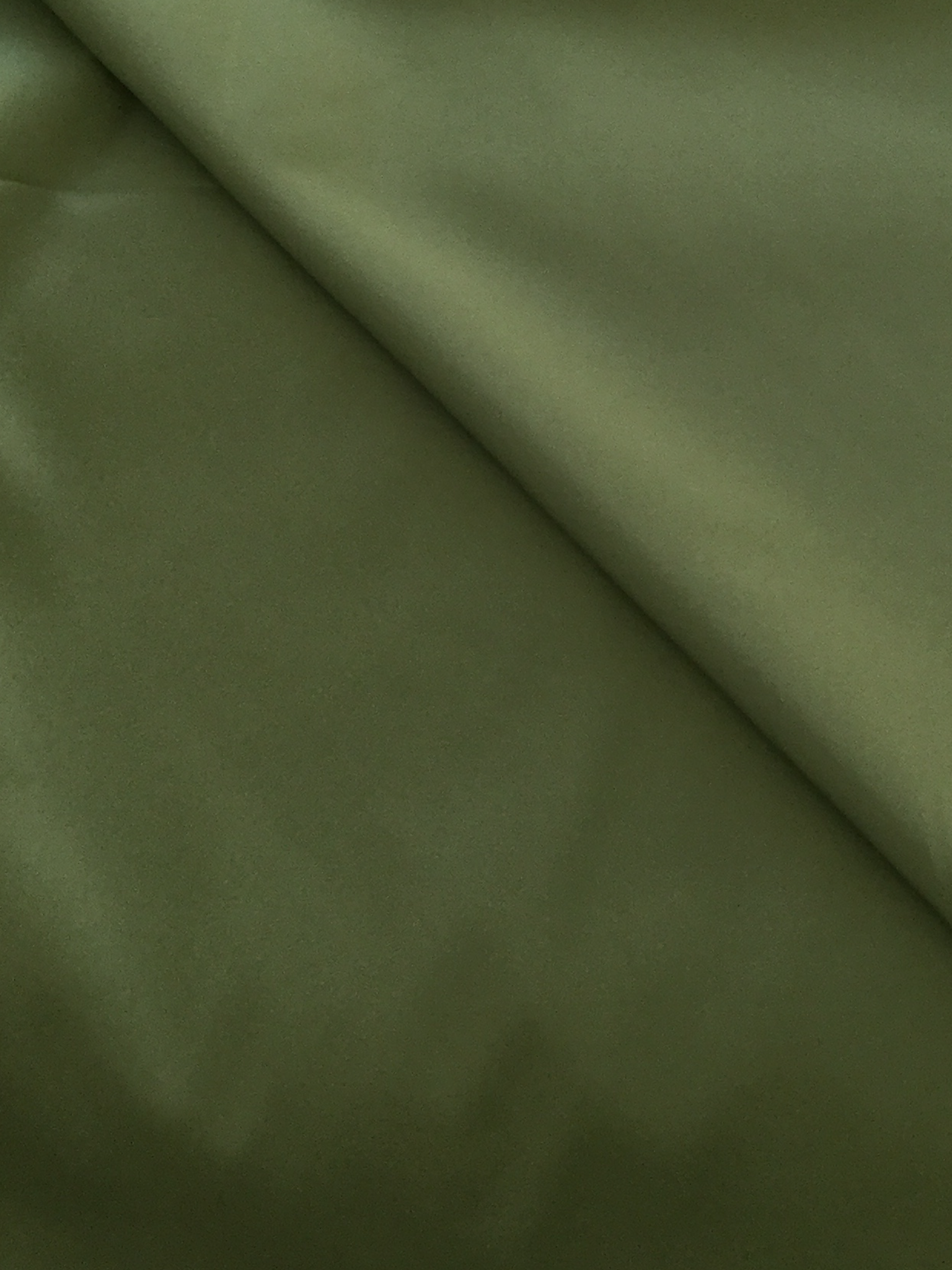 Polyester and Lycra Lining in Green