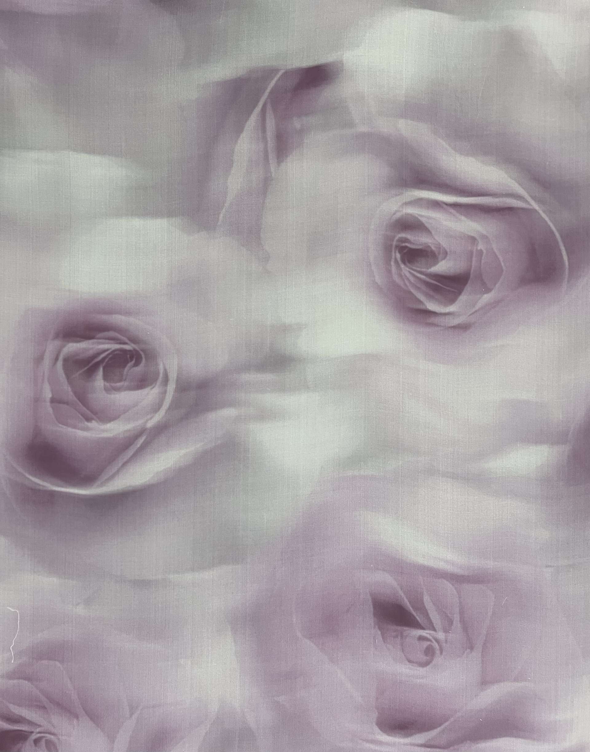 Couture Printed Silk Organza