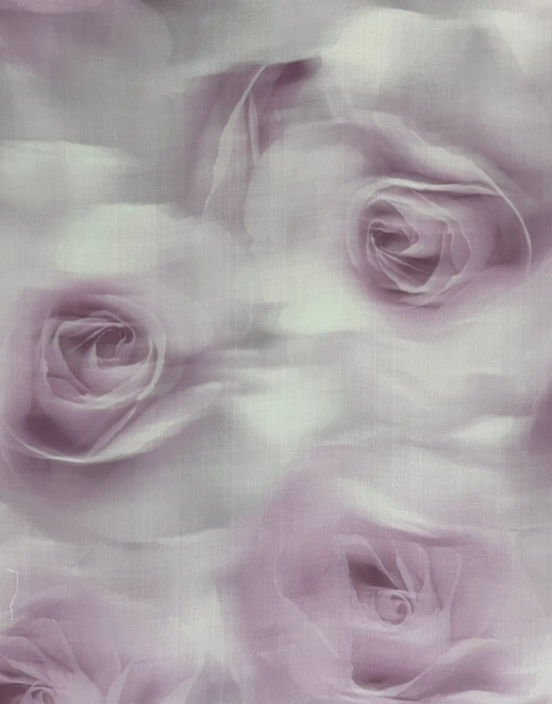 Couture Printed Silk Organza