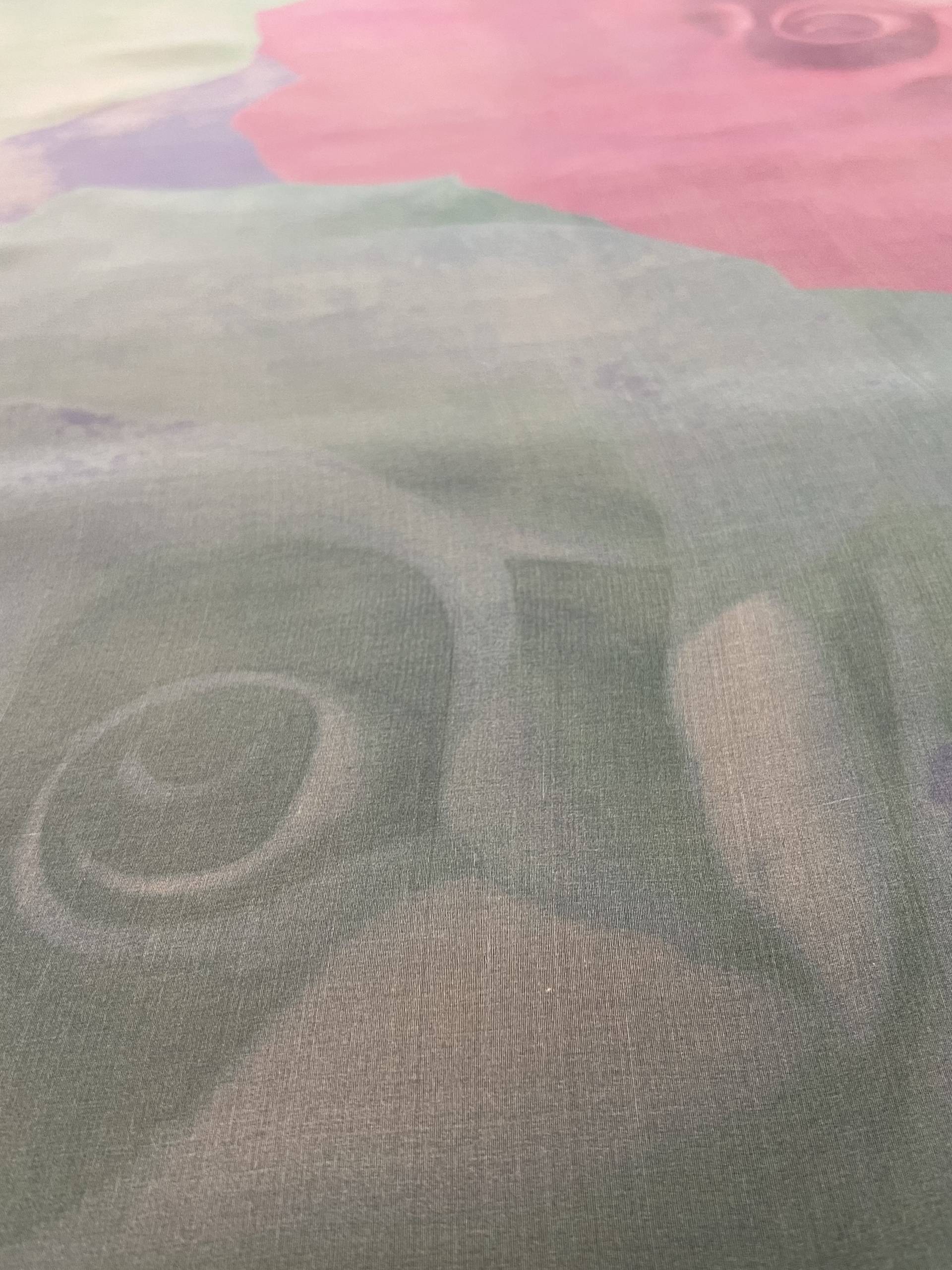 Couture Printed Silk Organza