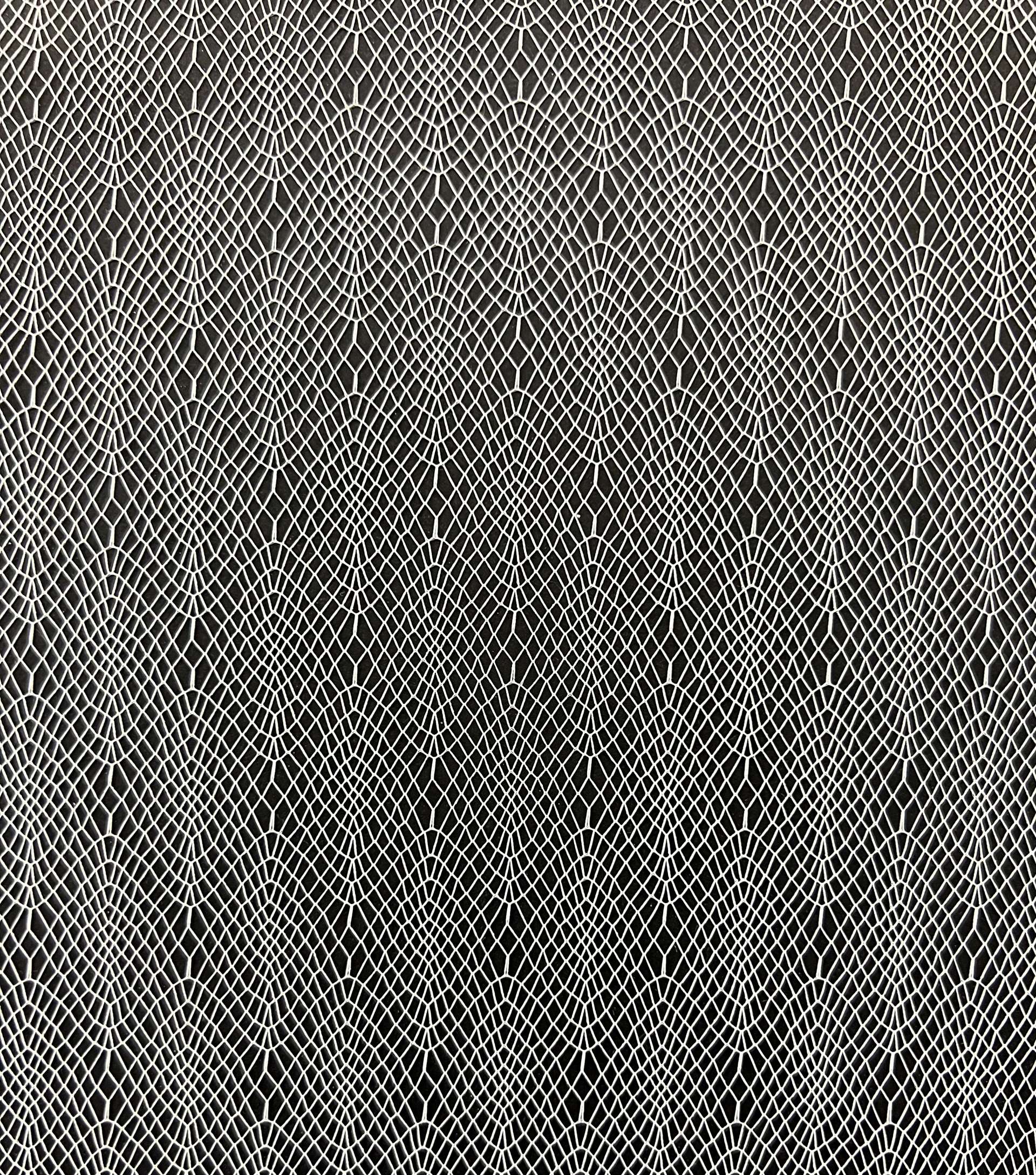 Novelty Illusion in Off White