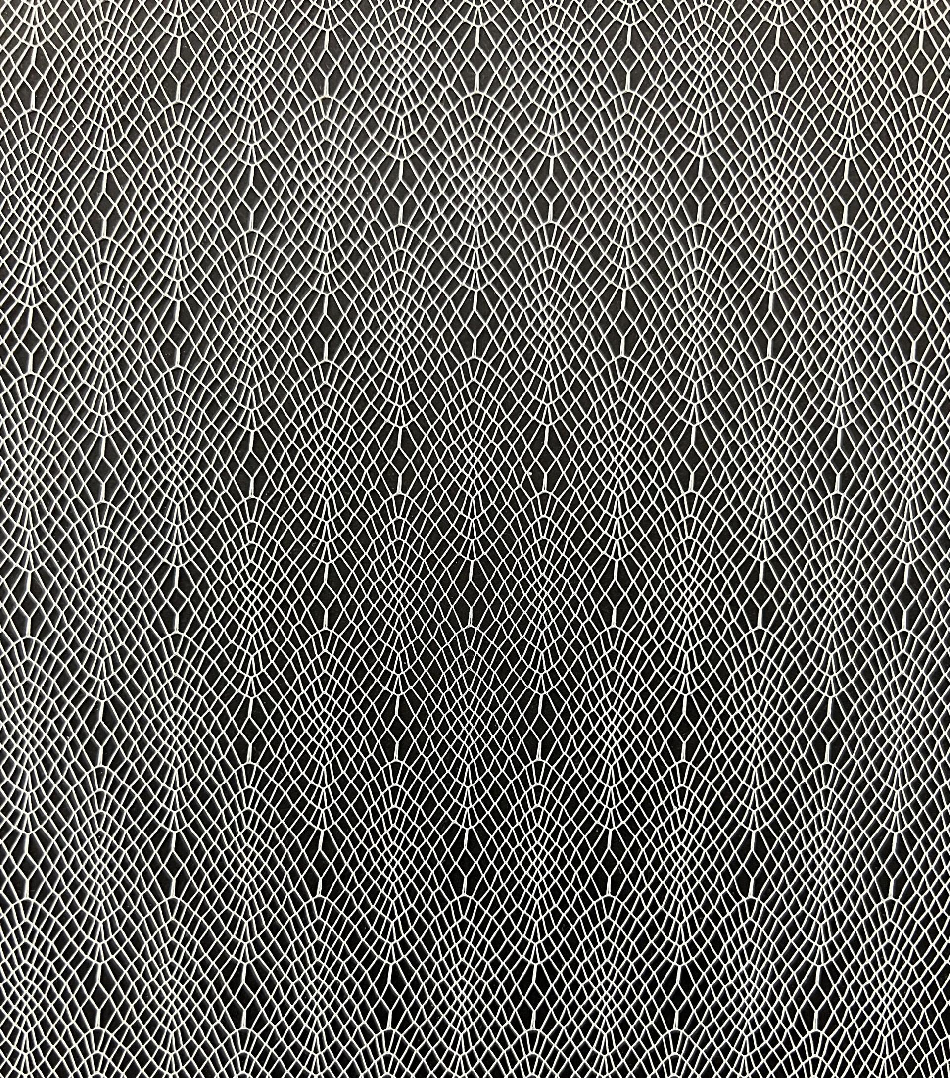 Novelty Illusion in Off White