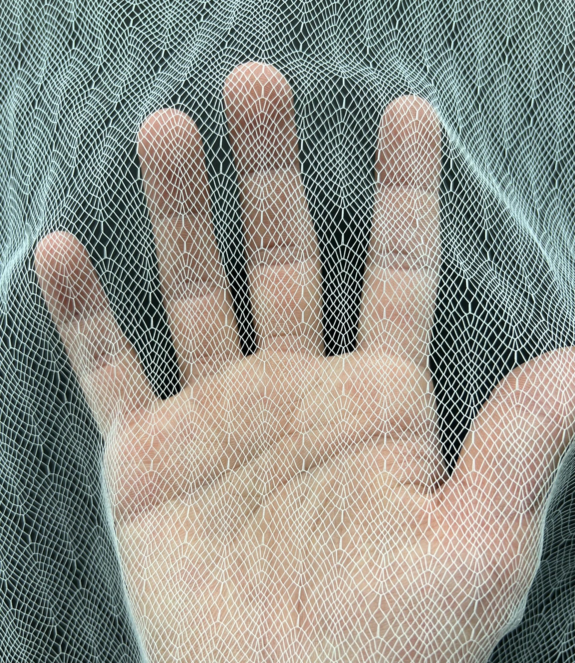 Novelty Illusion in Off White