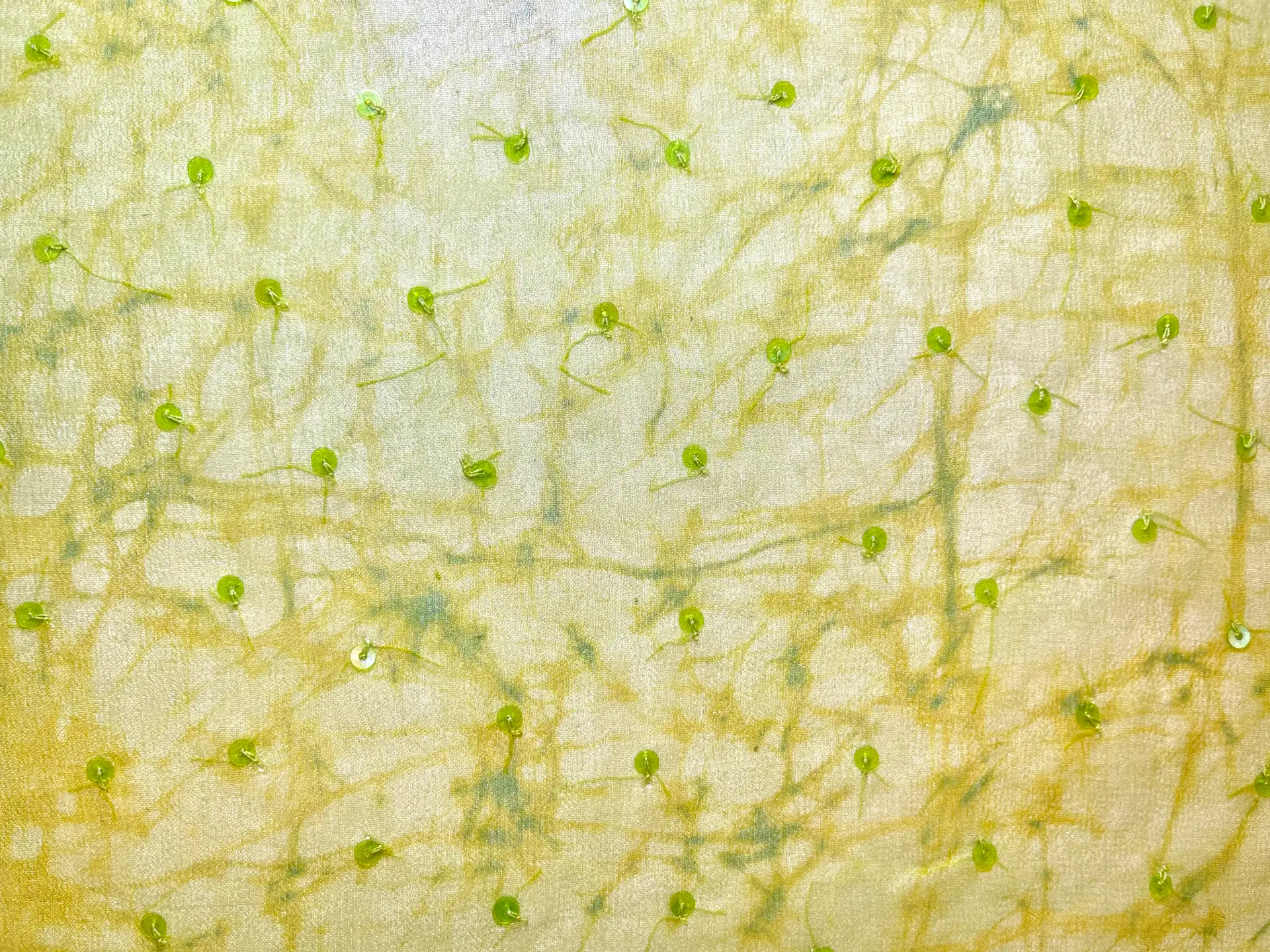 Scnp Sequins on Silk Chiffon