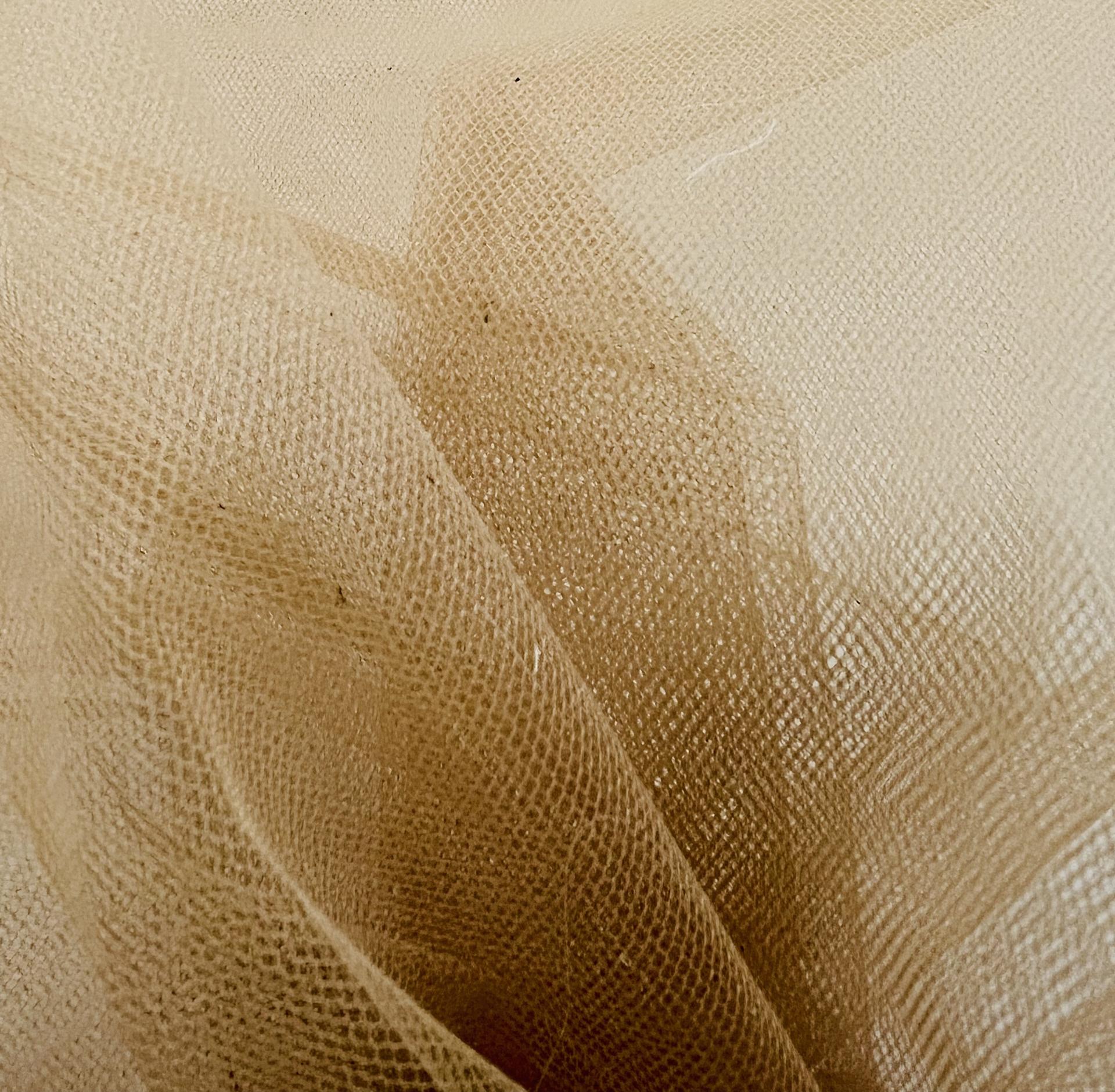 Italian Tutu Tulle in Carne