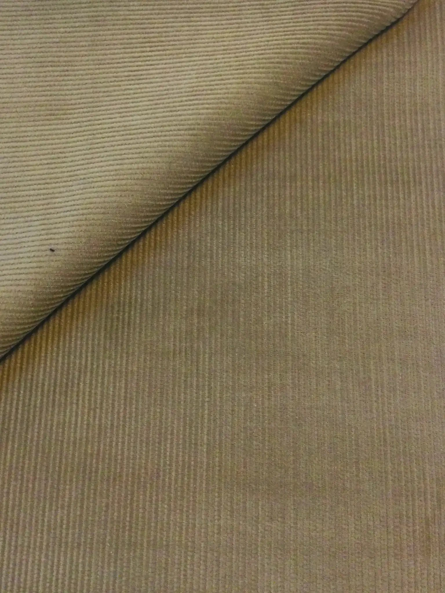 Corduroy