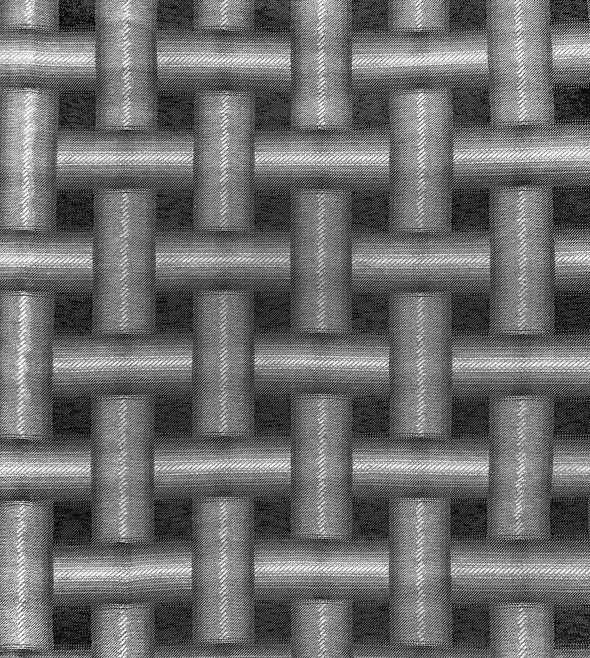 Optical Illusion Brocade in Silver Black