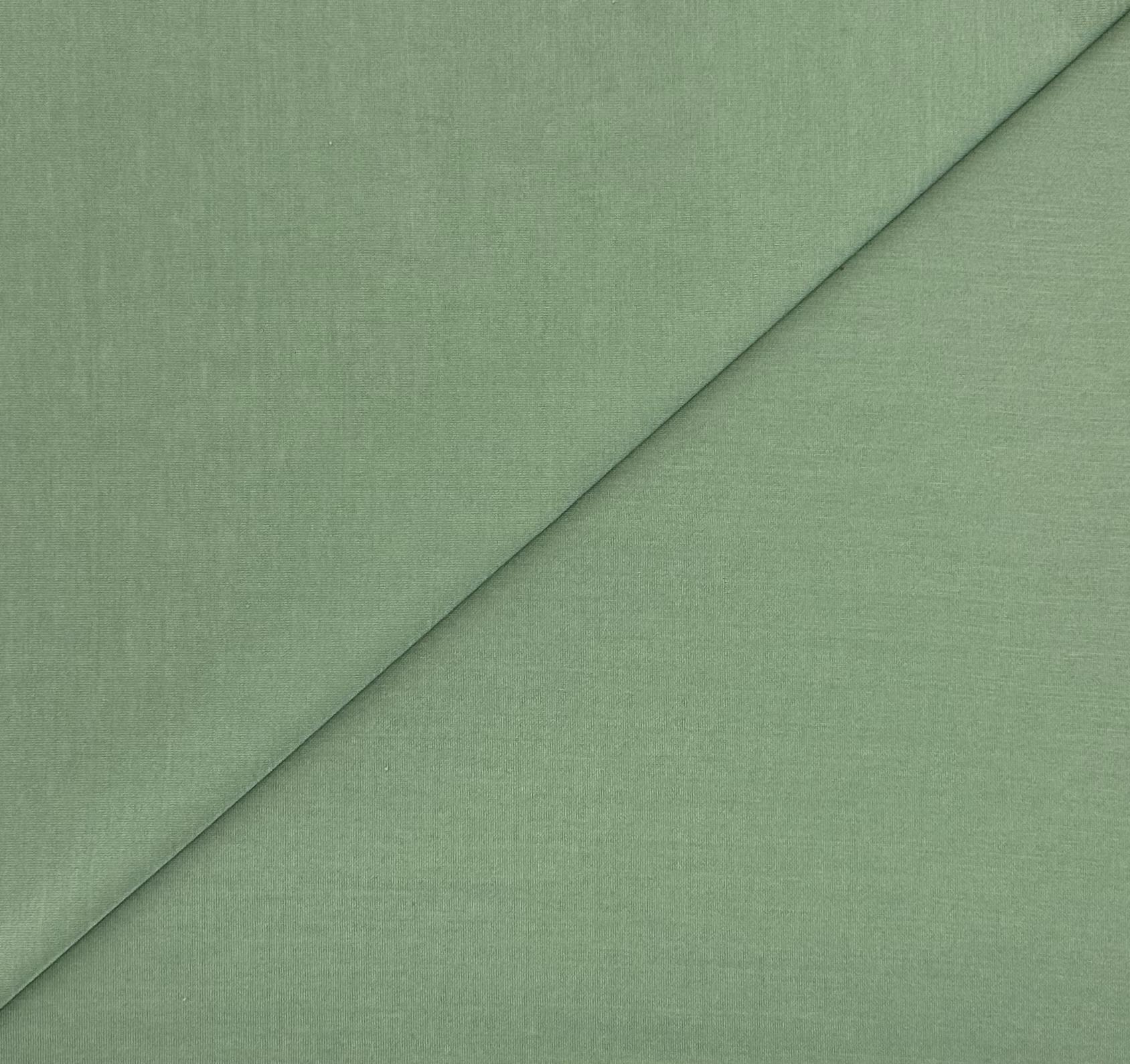 Italian Cotton Jersey in Laurel