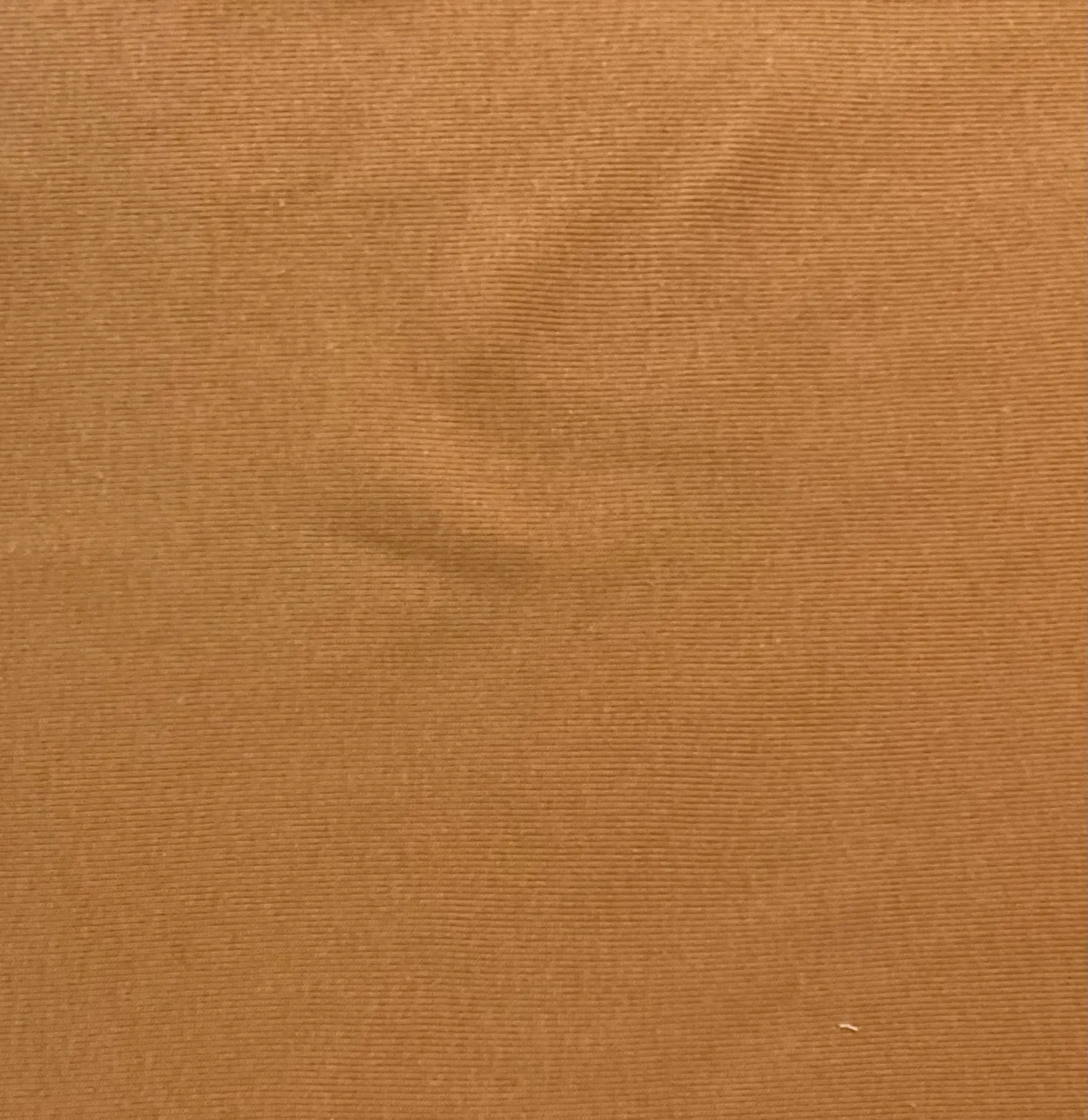 100% Cotton Tubular Rib Knit In Cantaloupe