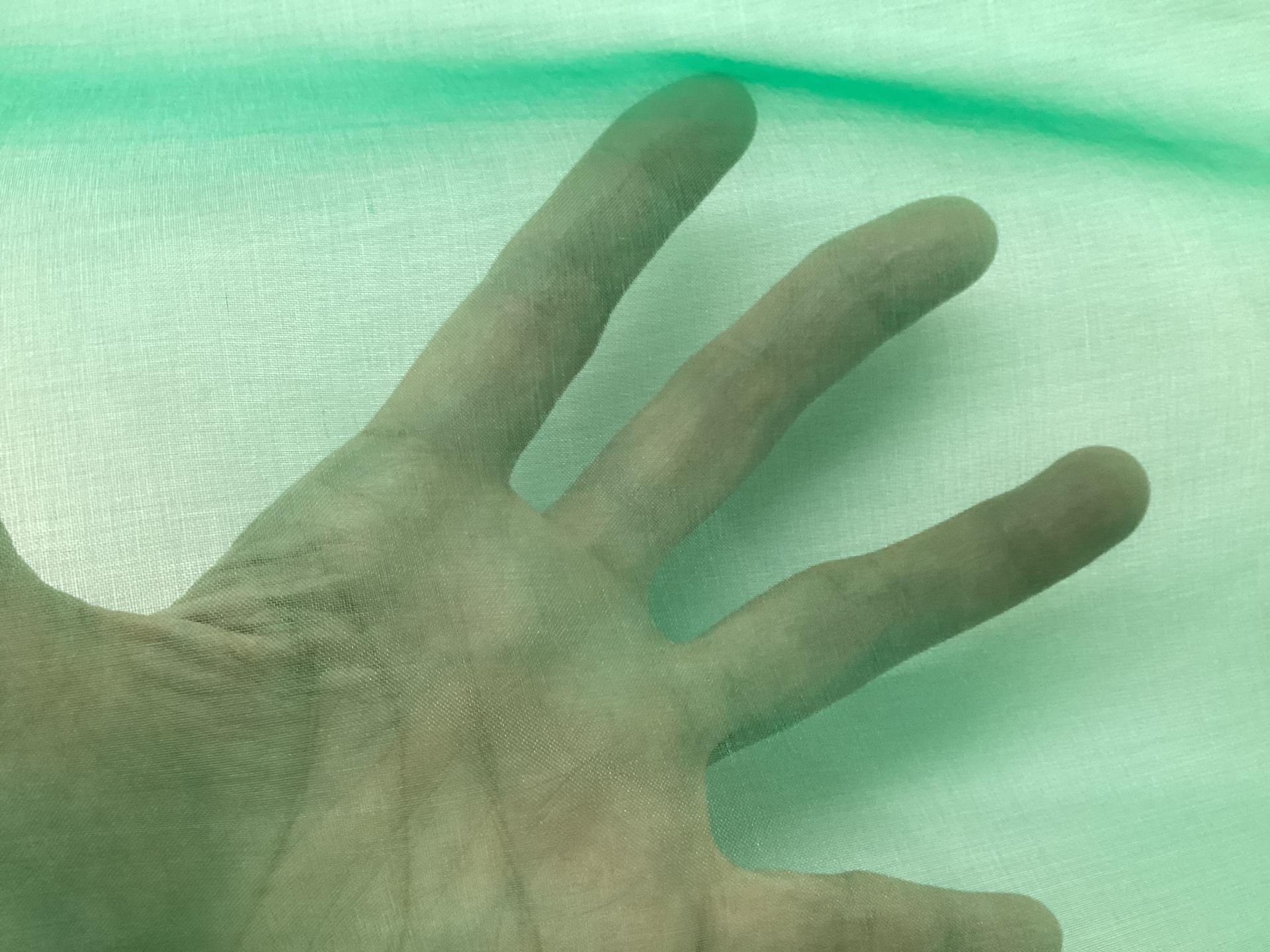 100% Silk Organza In Kelly Green