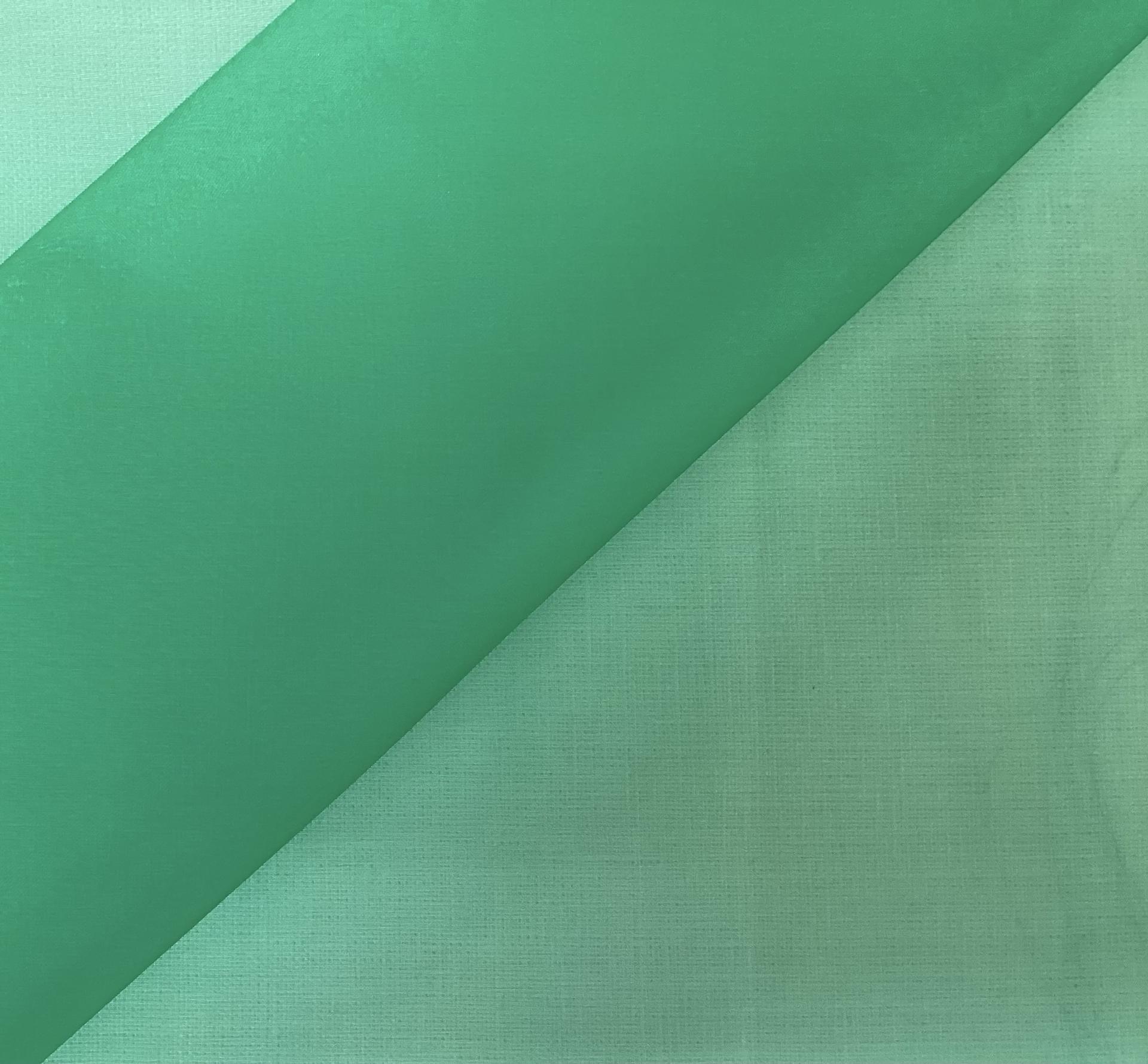 100% Silk Organza In Kelly Green