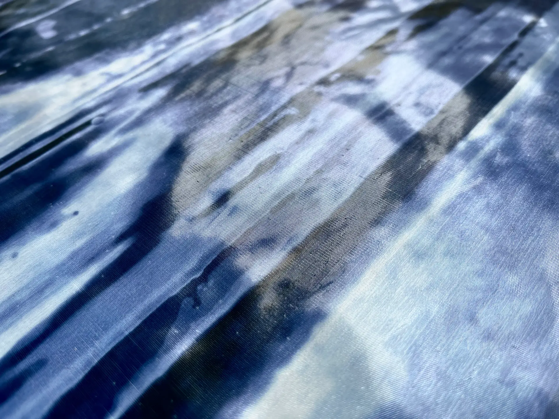 Made in Switzerland Printed Nylon Organza