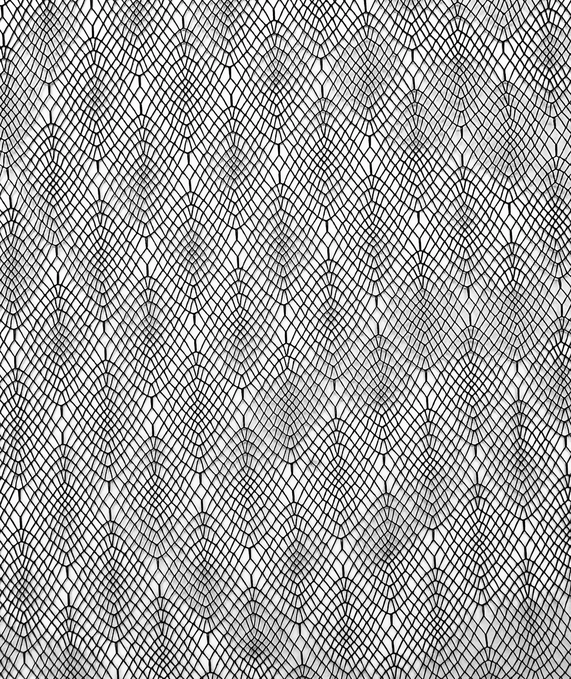 Novelty Illusion in Black