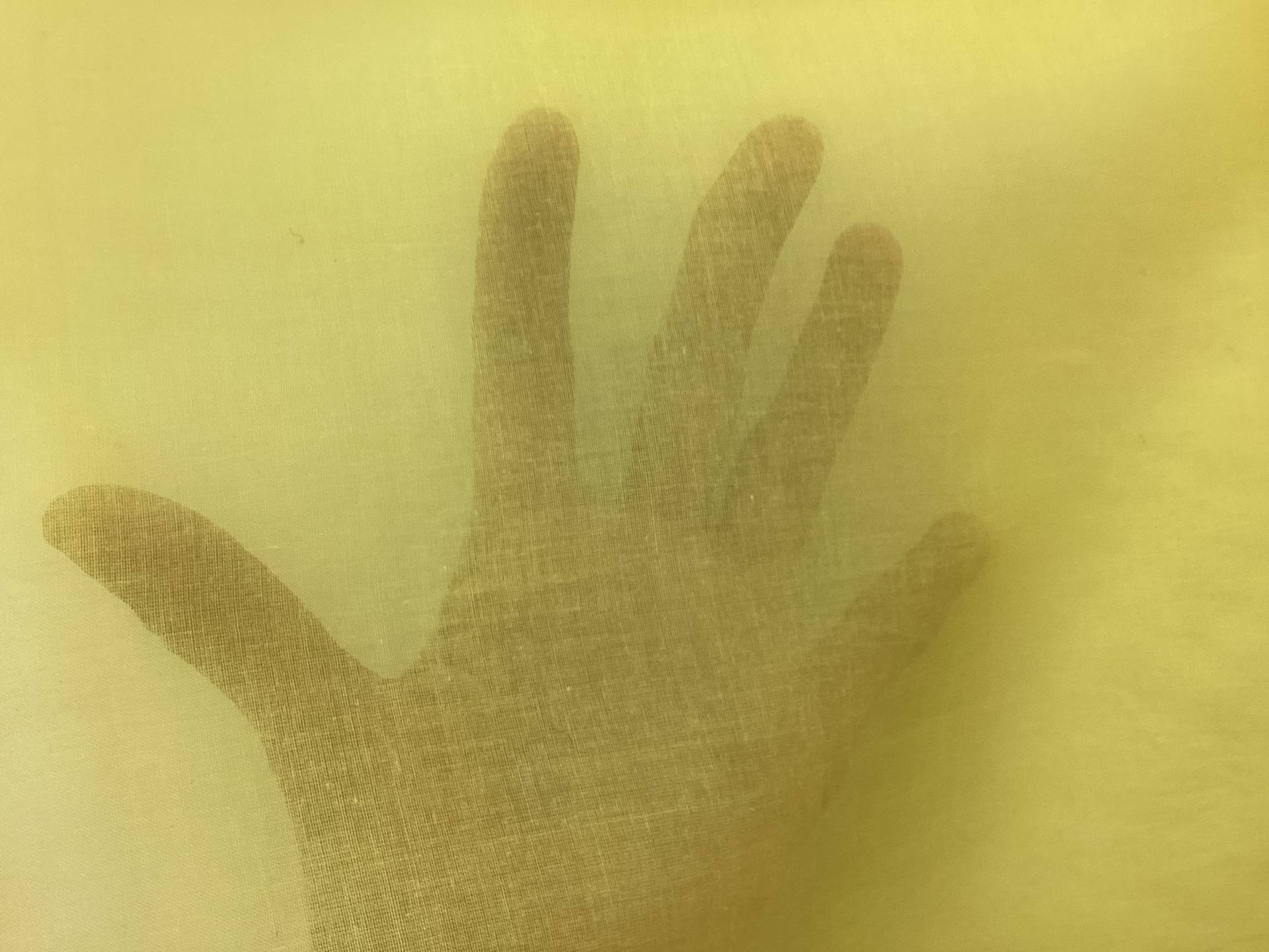 100% Cotton Organdy In Lemon